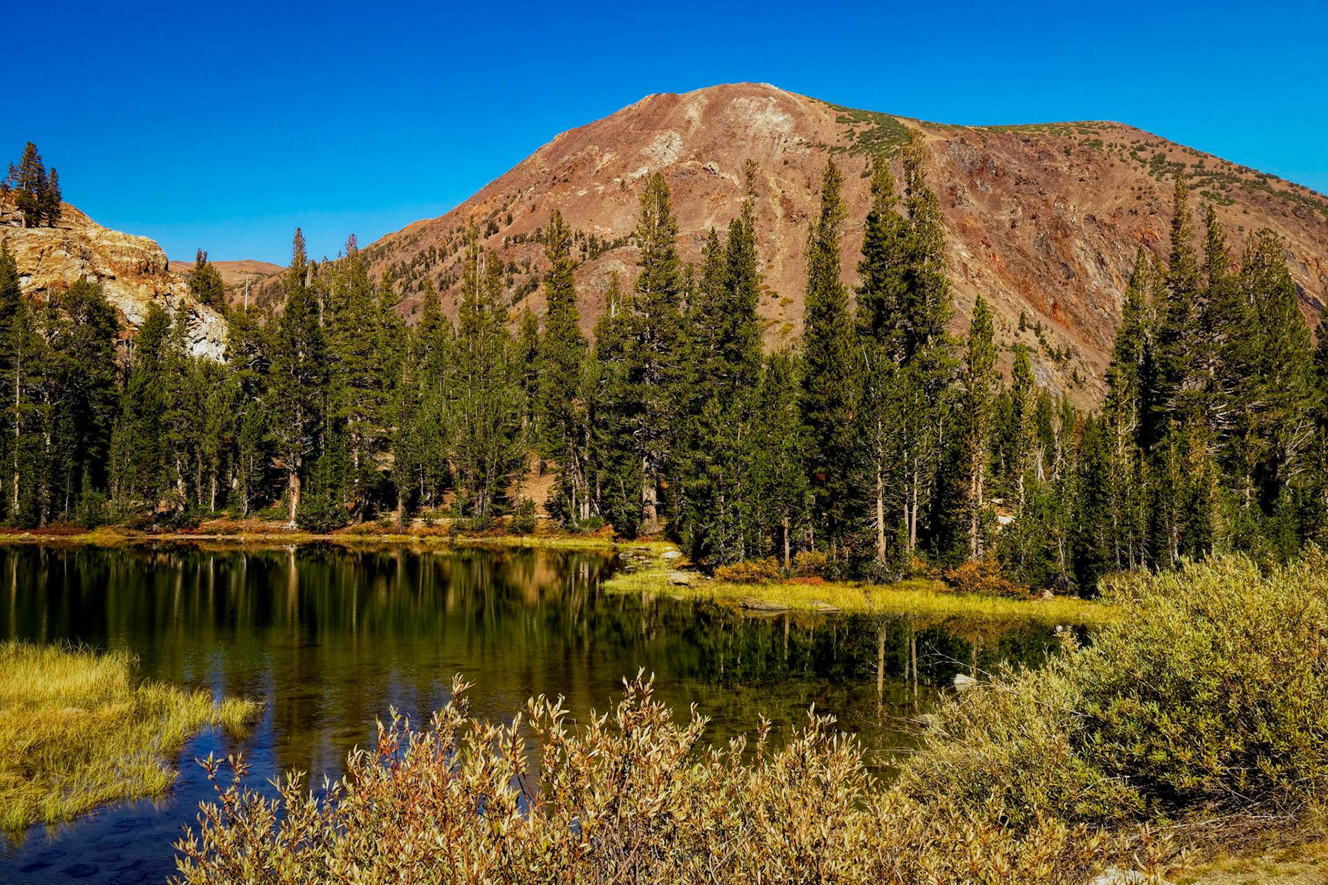 Nunatak Nature Trail
