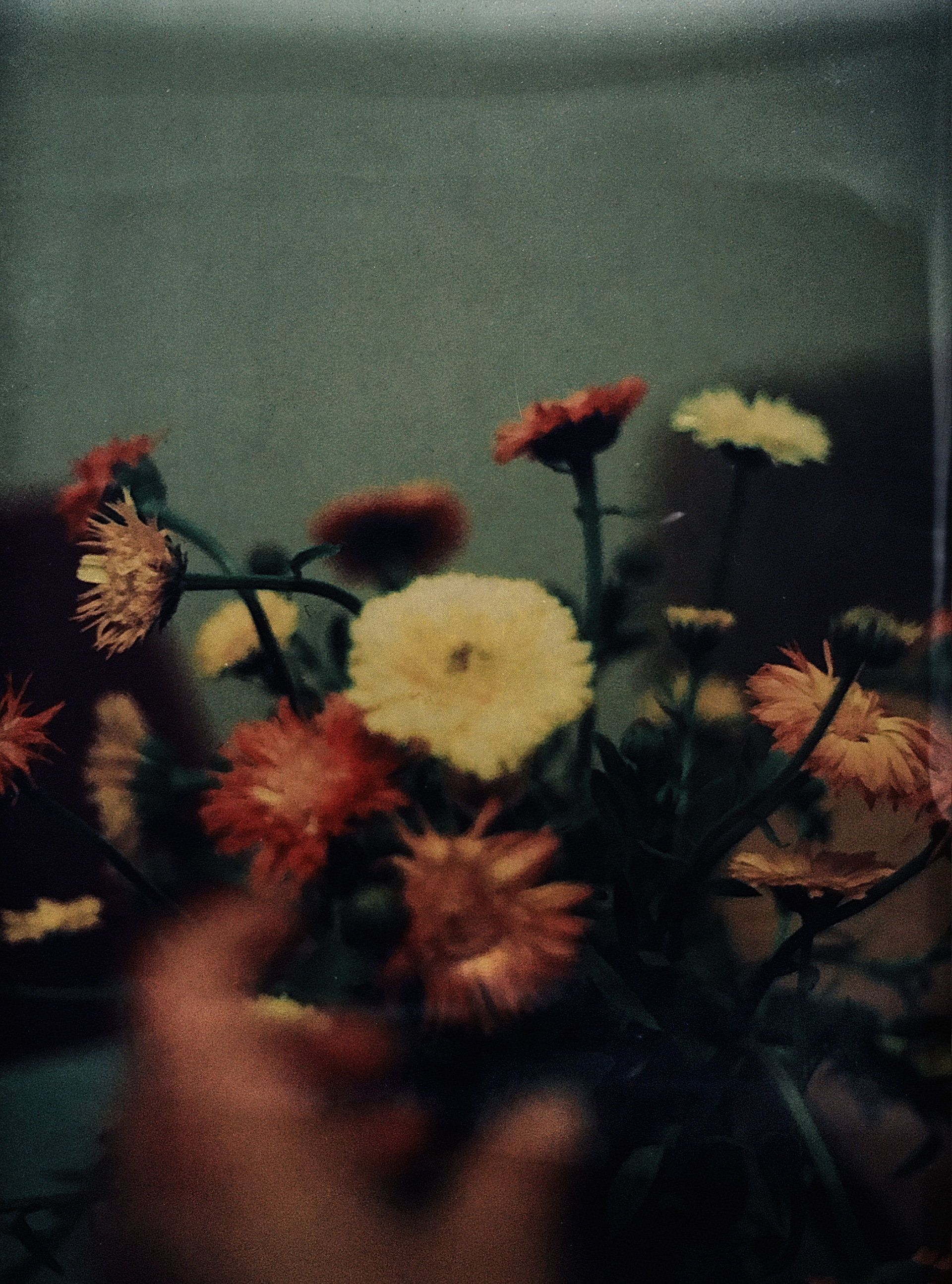 Zella-Blumen-18x24