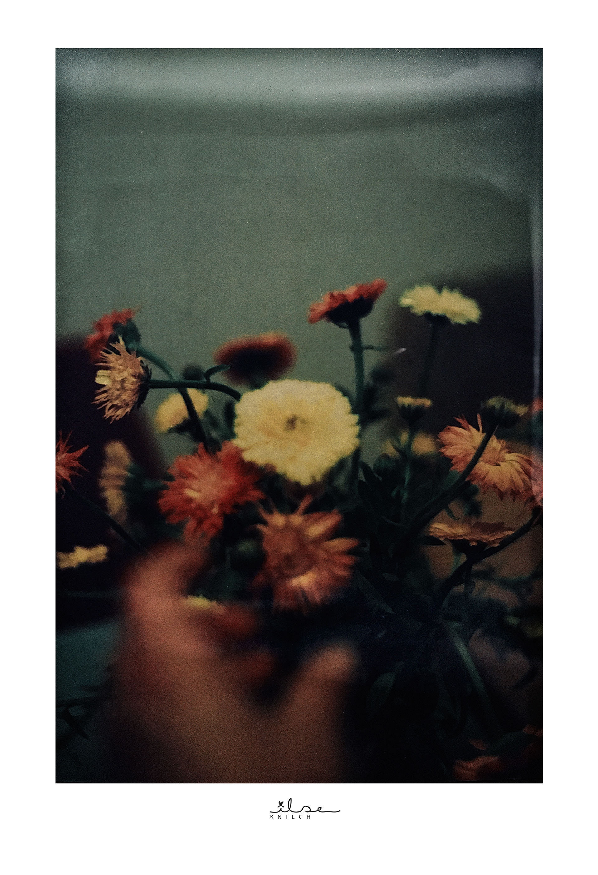 Zella-Blumen-20x30