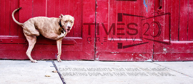 Social Media Banner 1