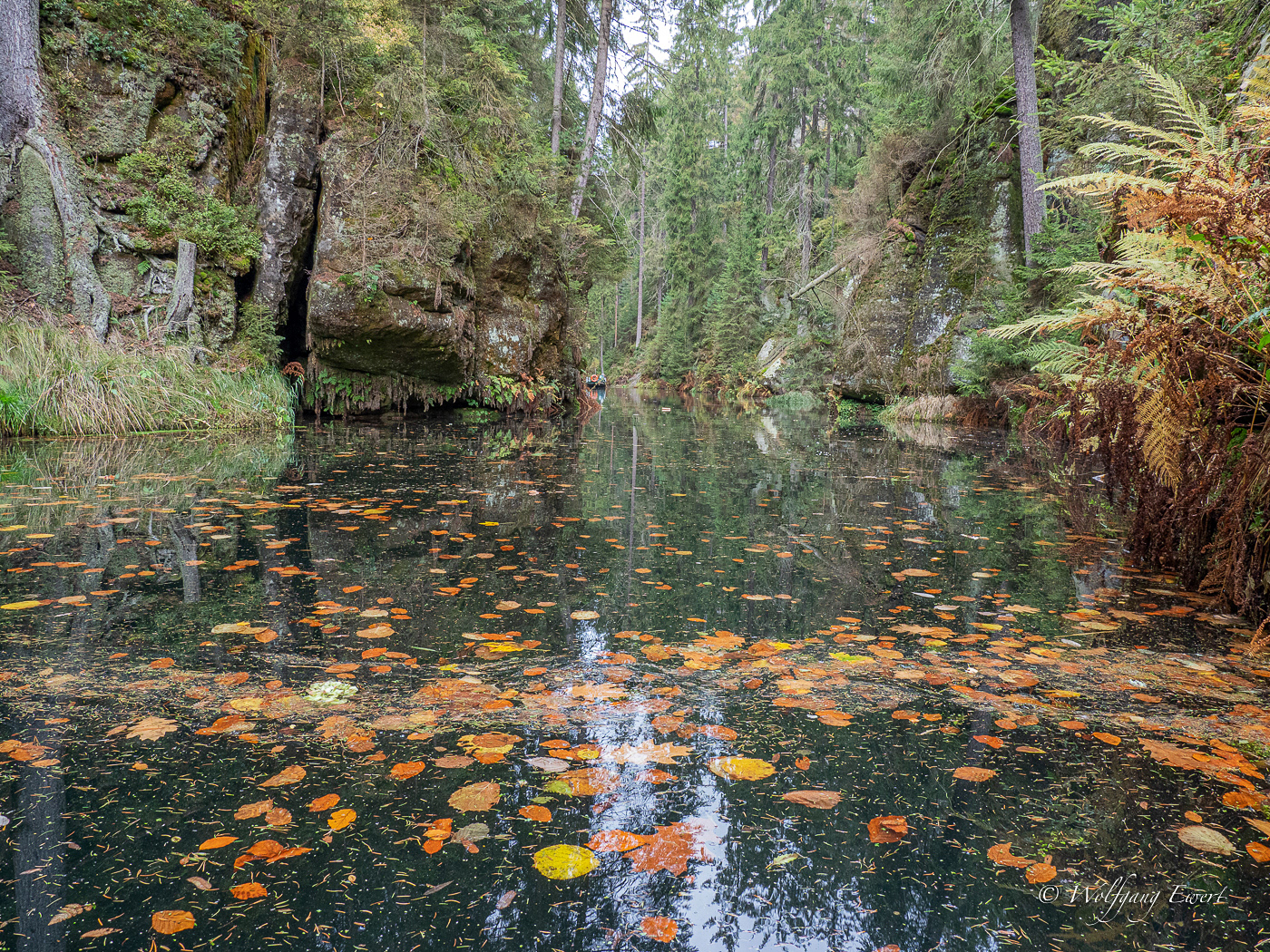 In der Kirnitzschklamm