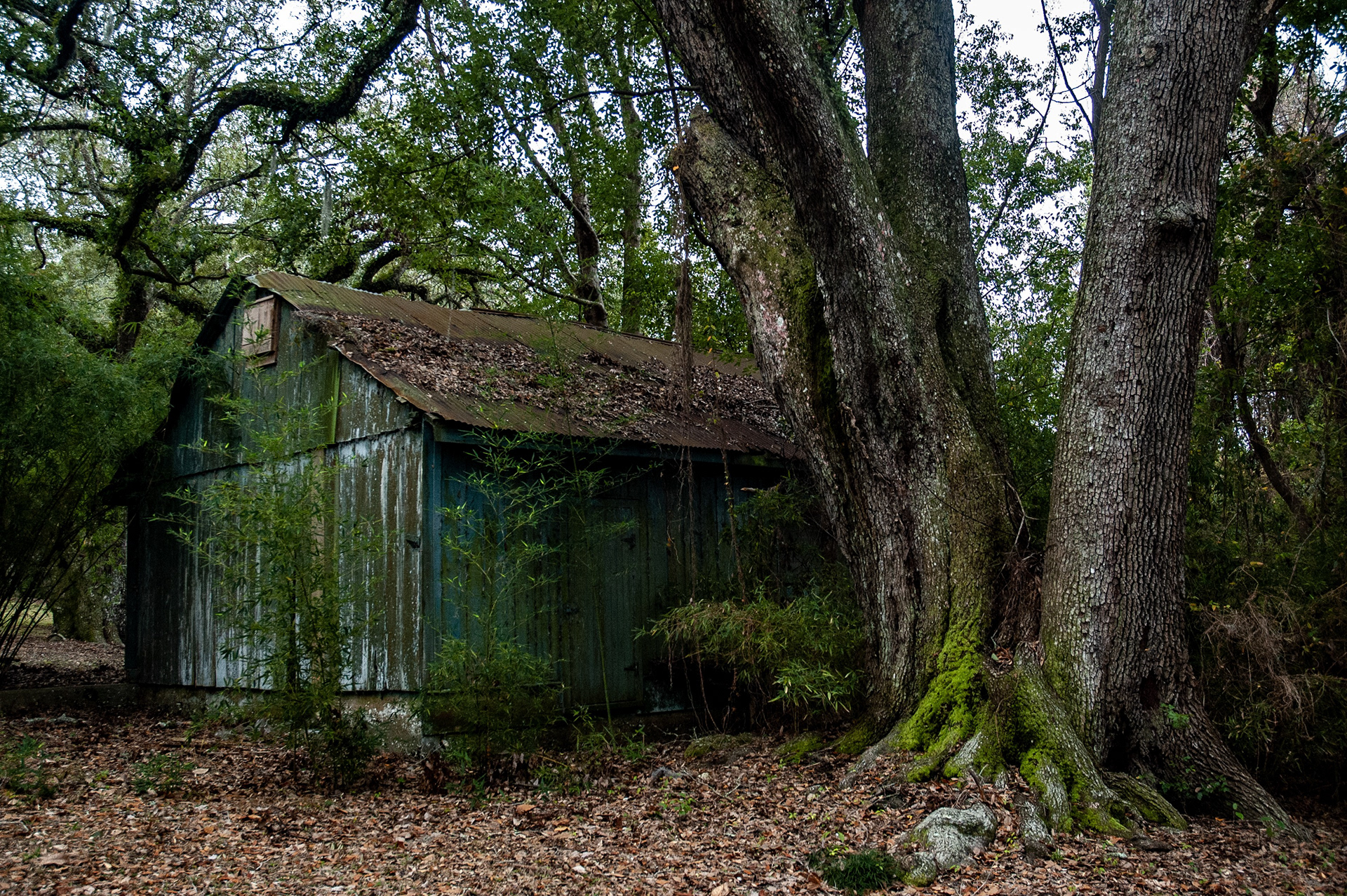 Pepper Shed. Avery Island, Louisiana, U.S. ©2006, Corey Sandler