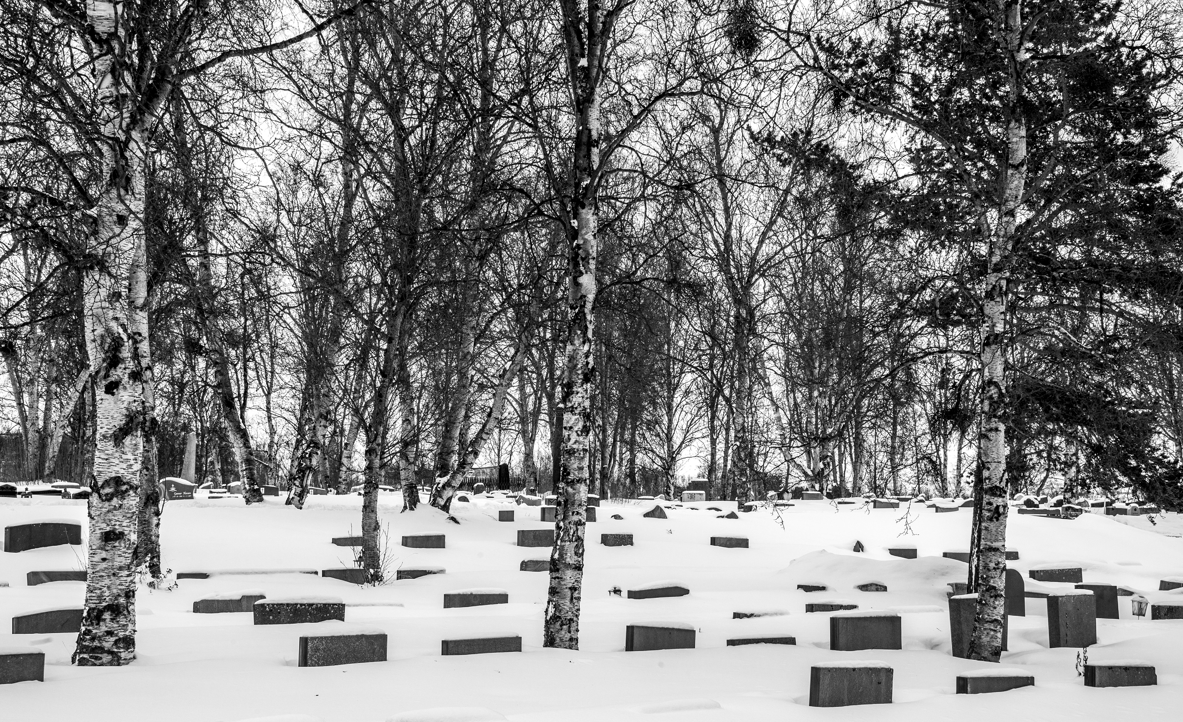Frozen. World War II Cemetery, Alta, Norway. ©2019, Corey Sandler