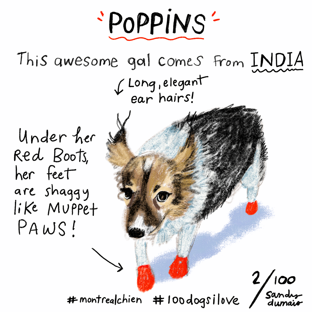 Poppins, Day 2 of 100