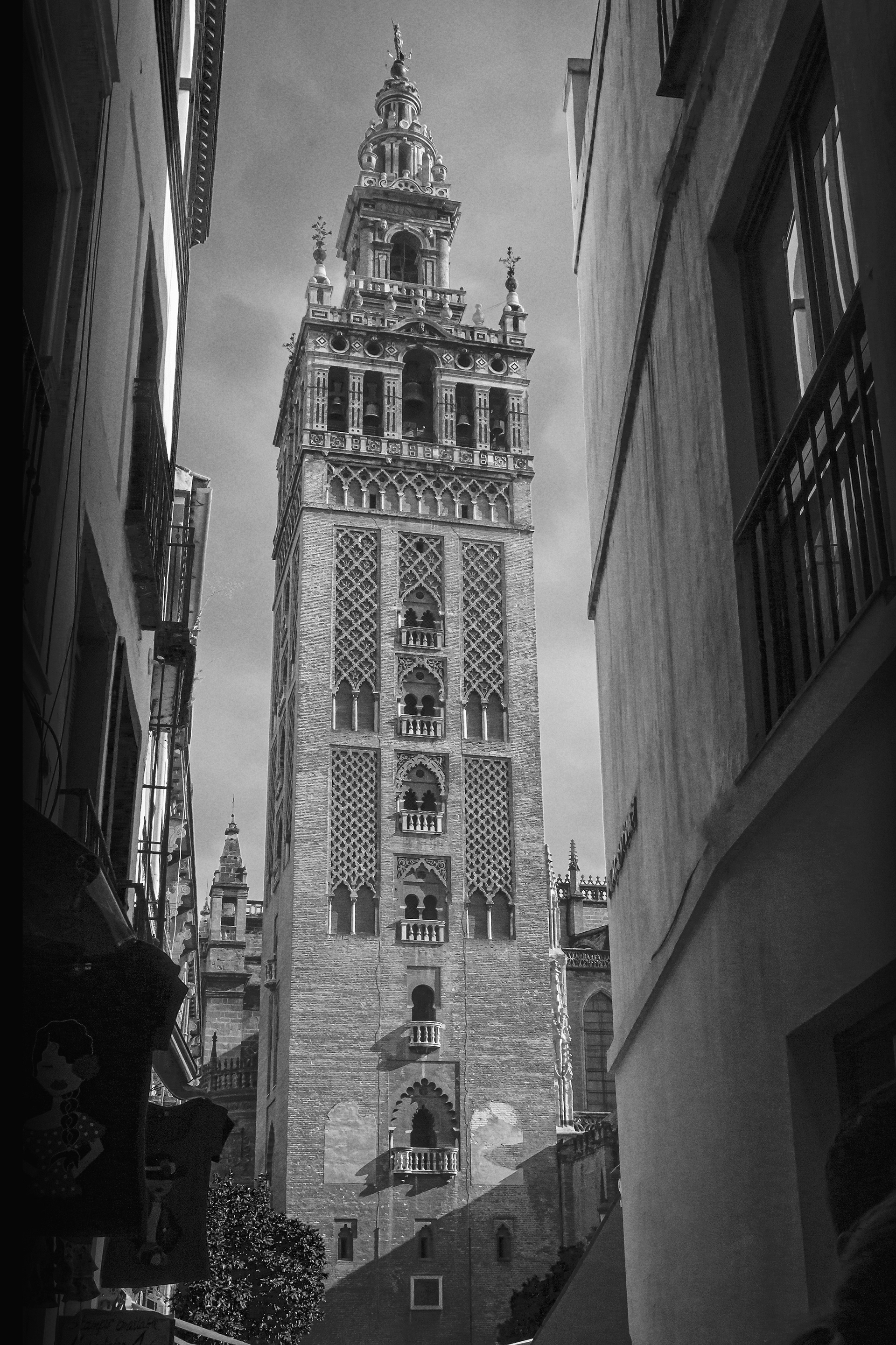 La giralda de Sevilla.