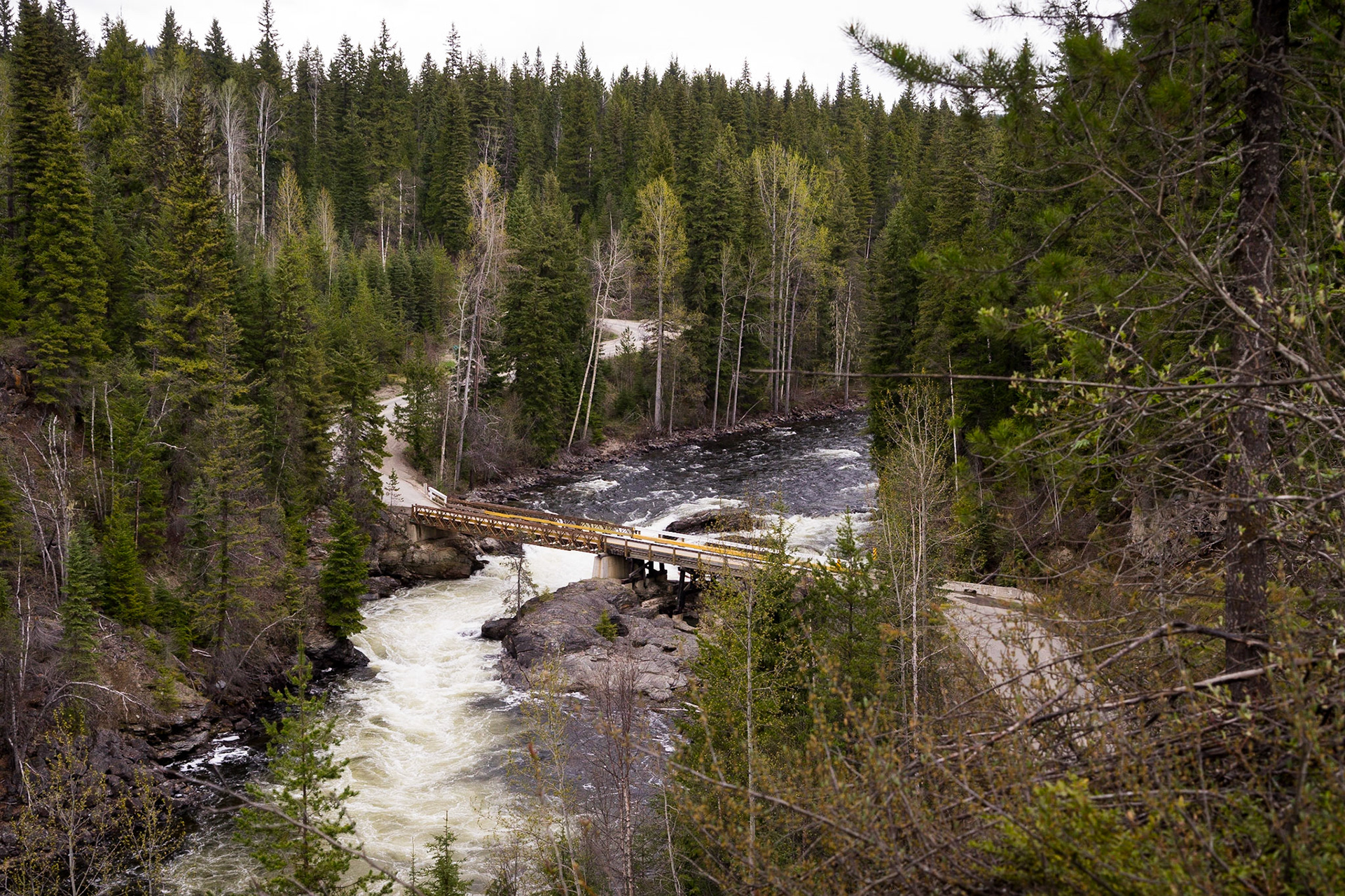 Murtle River, near Clearwater BC