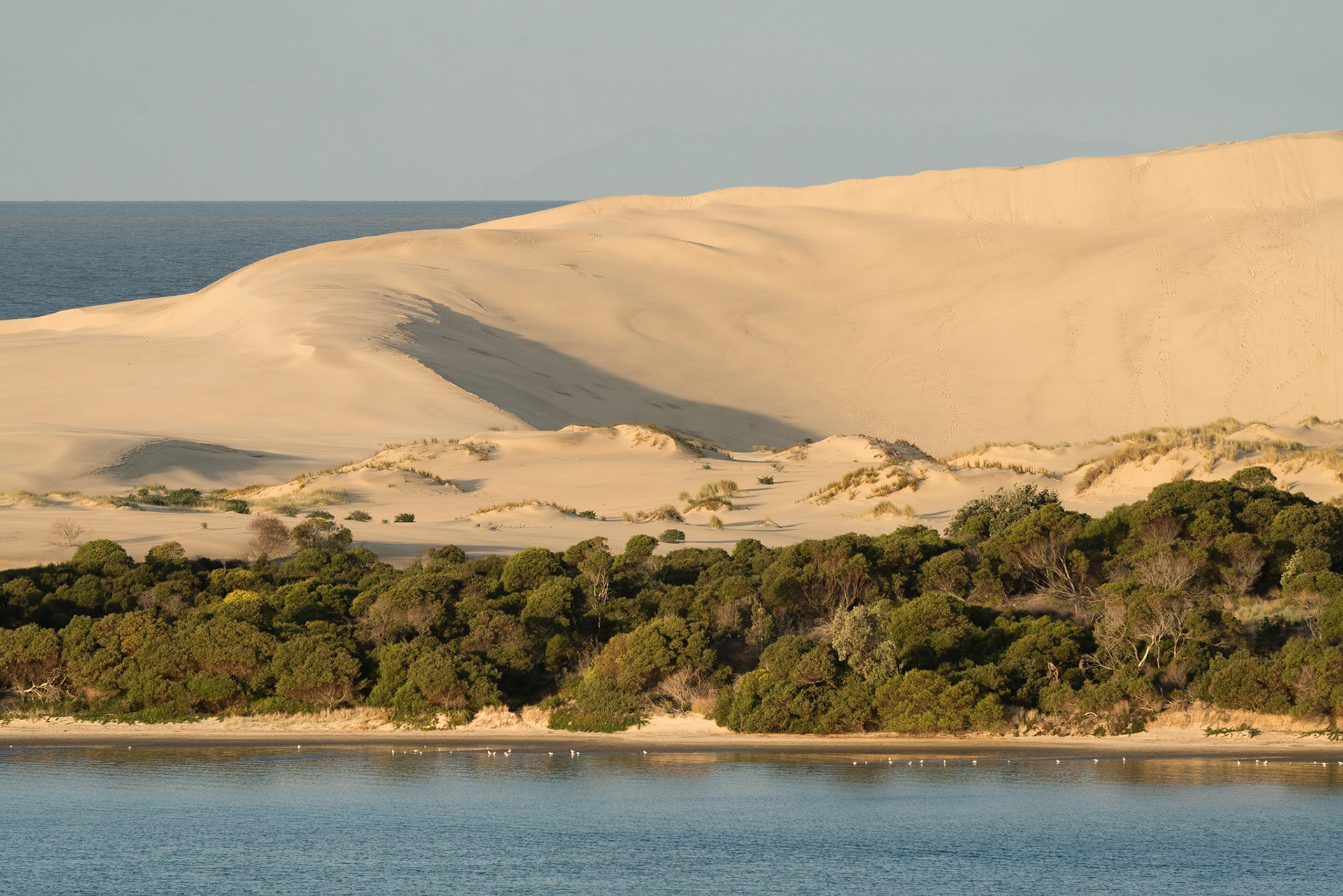 Mangawhai Heads