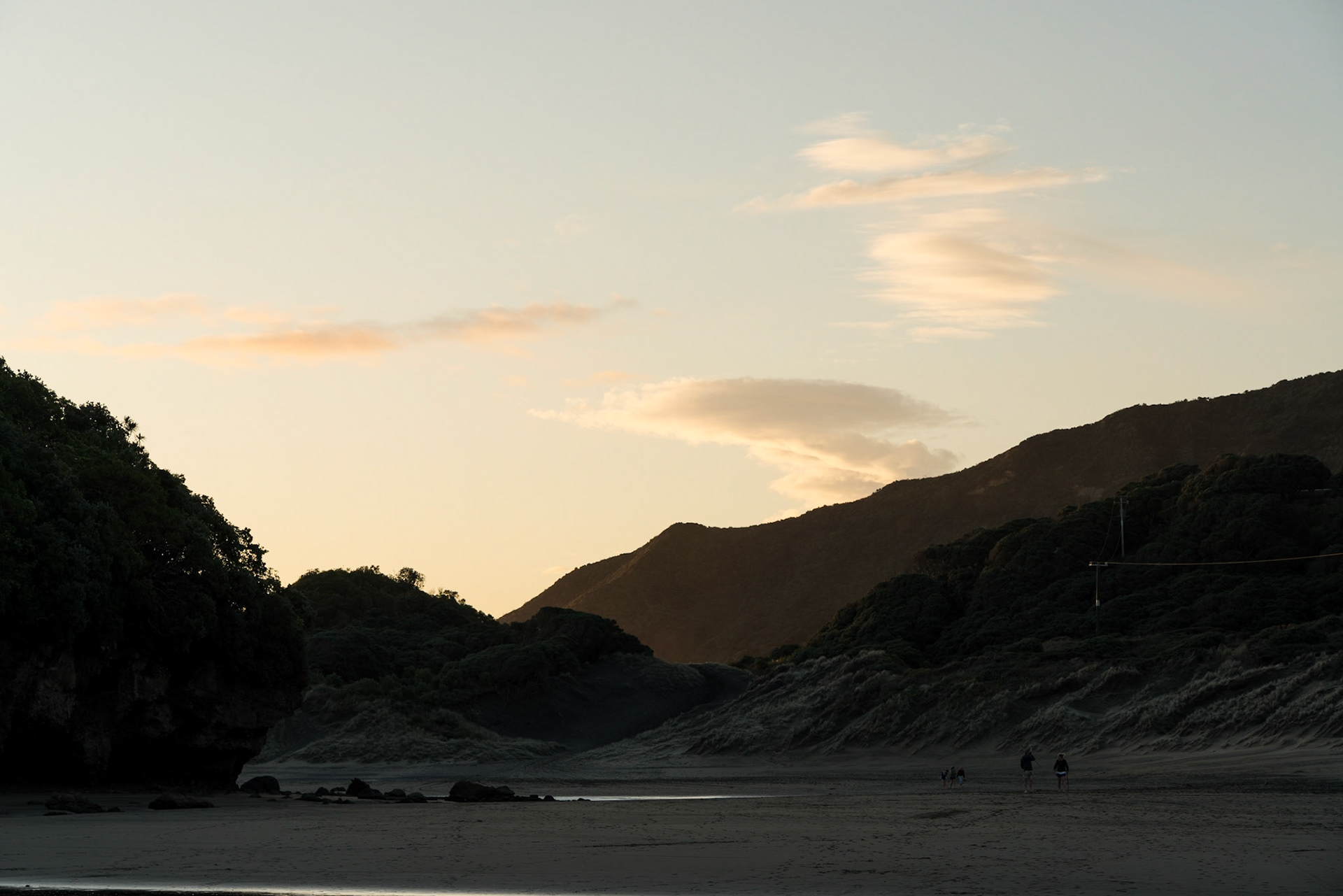 Bethells Beach