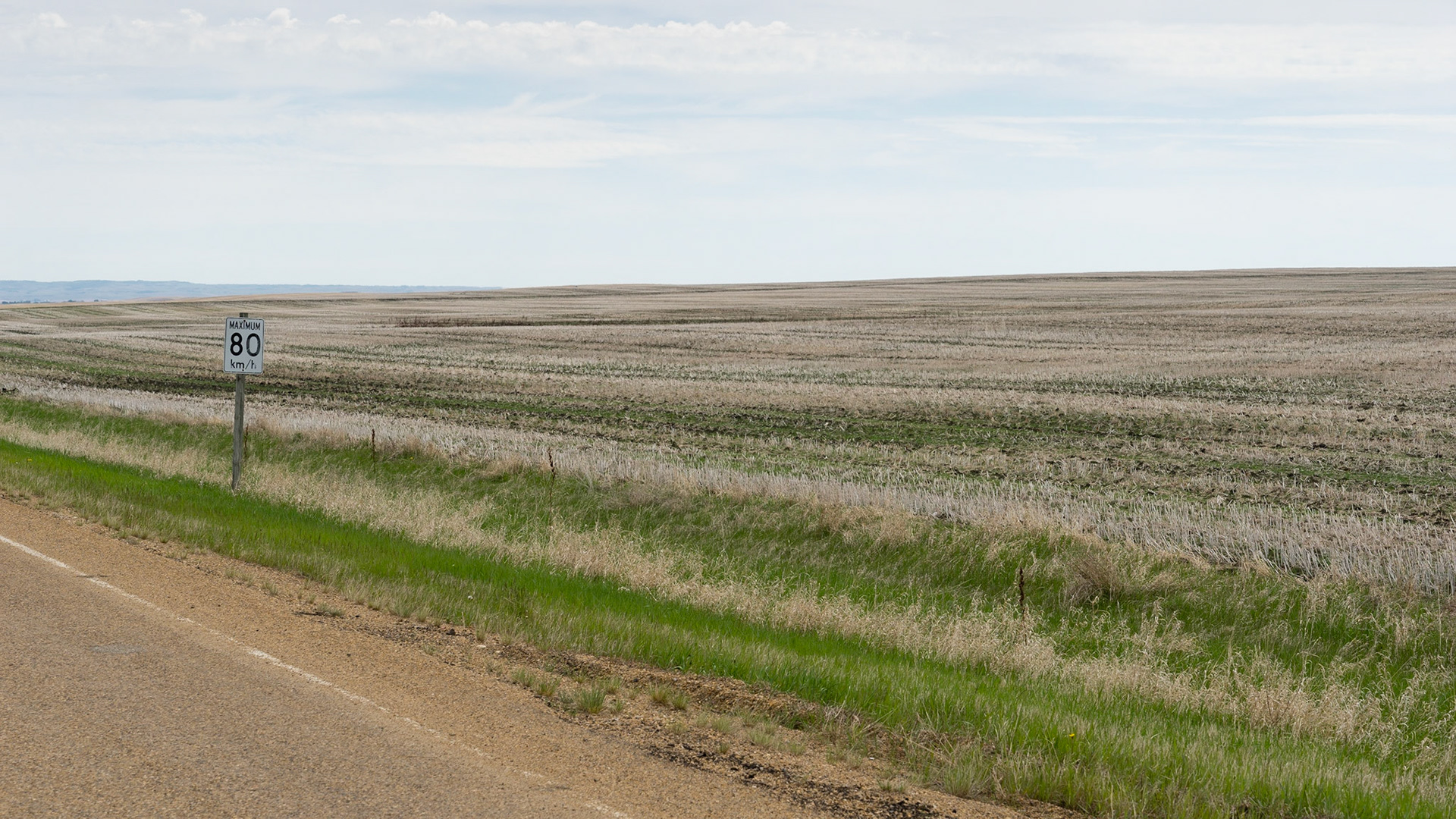 Alberta Prairies
