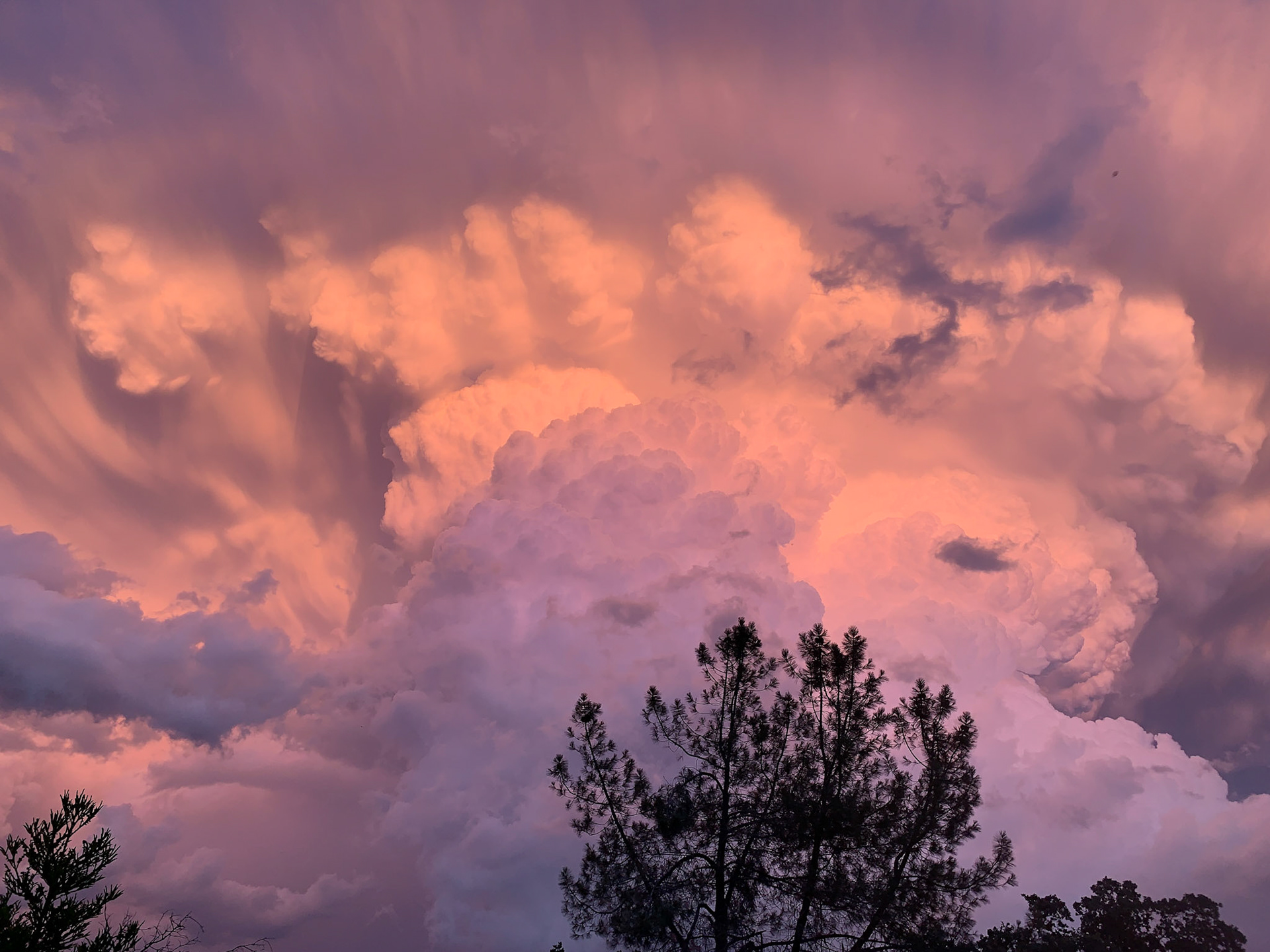 Wide Angle from Front Lawn