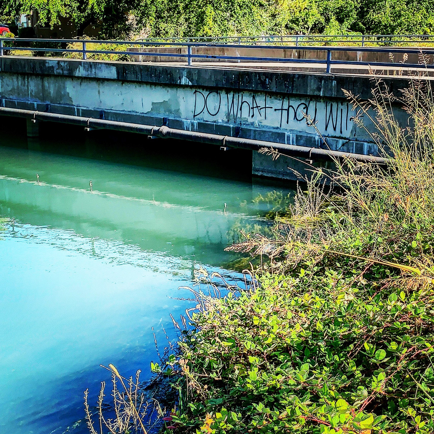 Cottonwood Canal, Redding