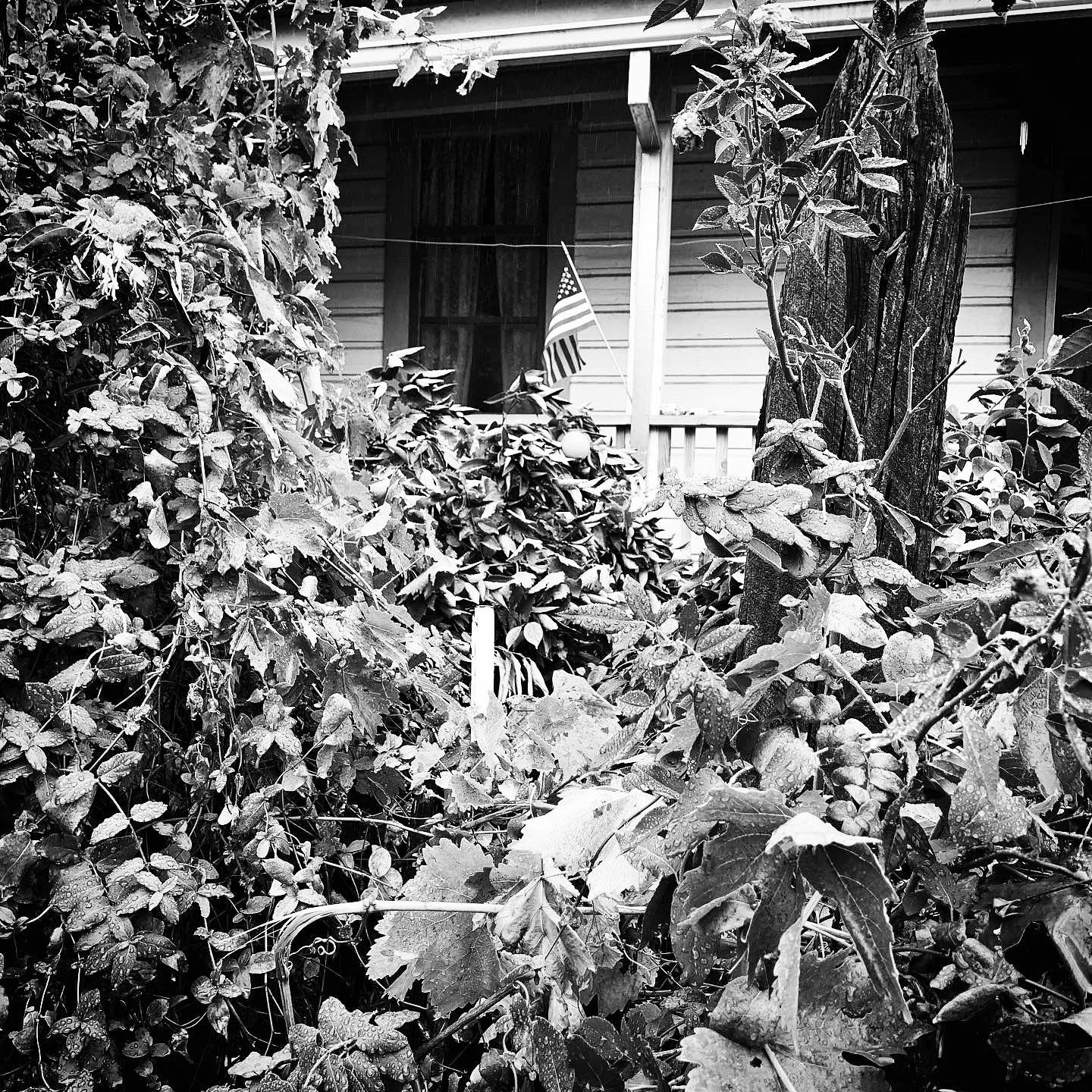 Black and White Patriotism