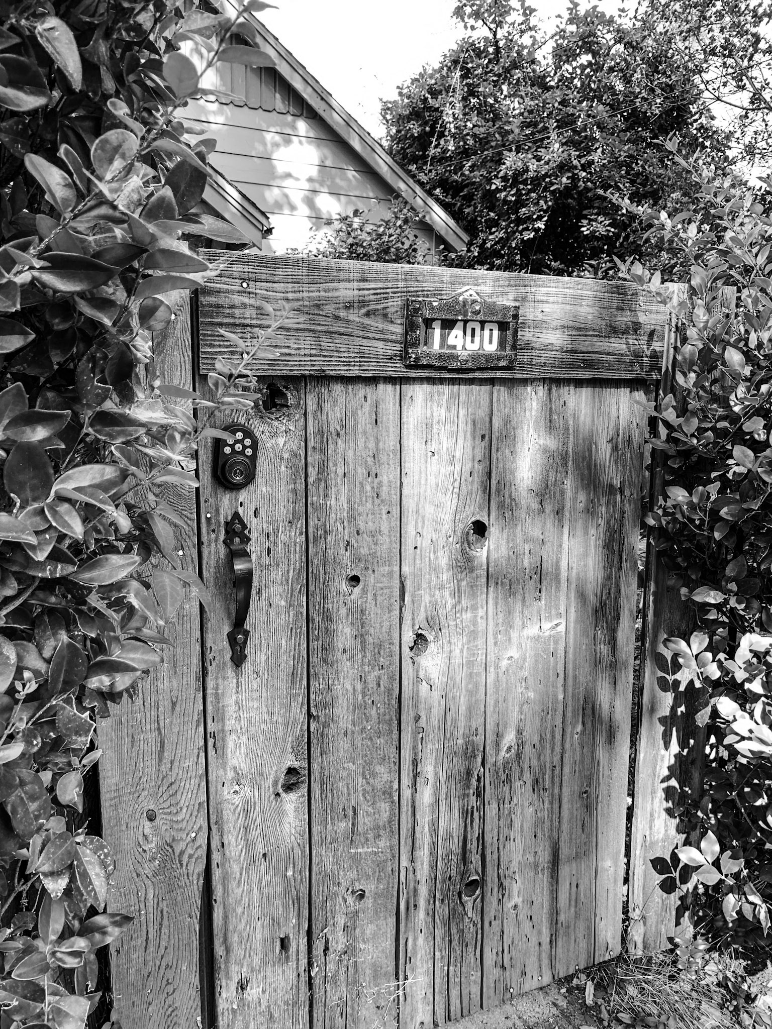 B&W of gate and fence