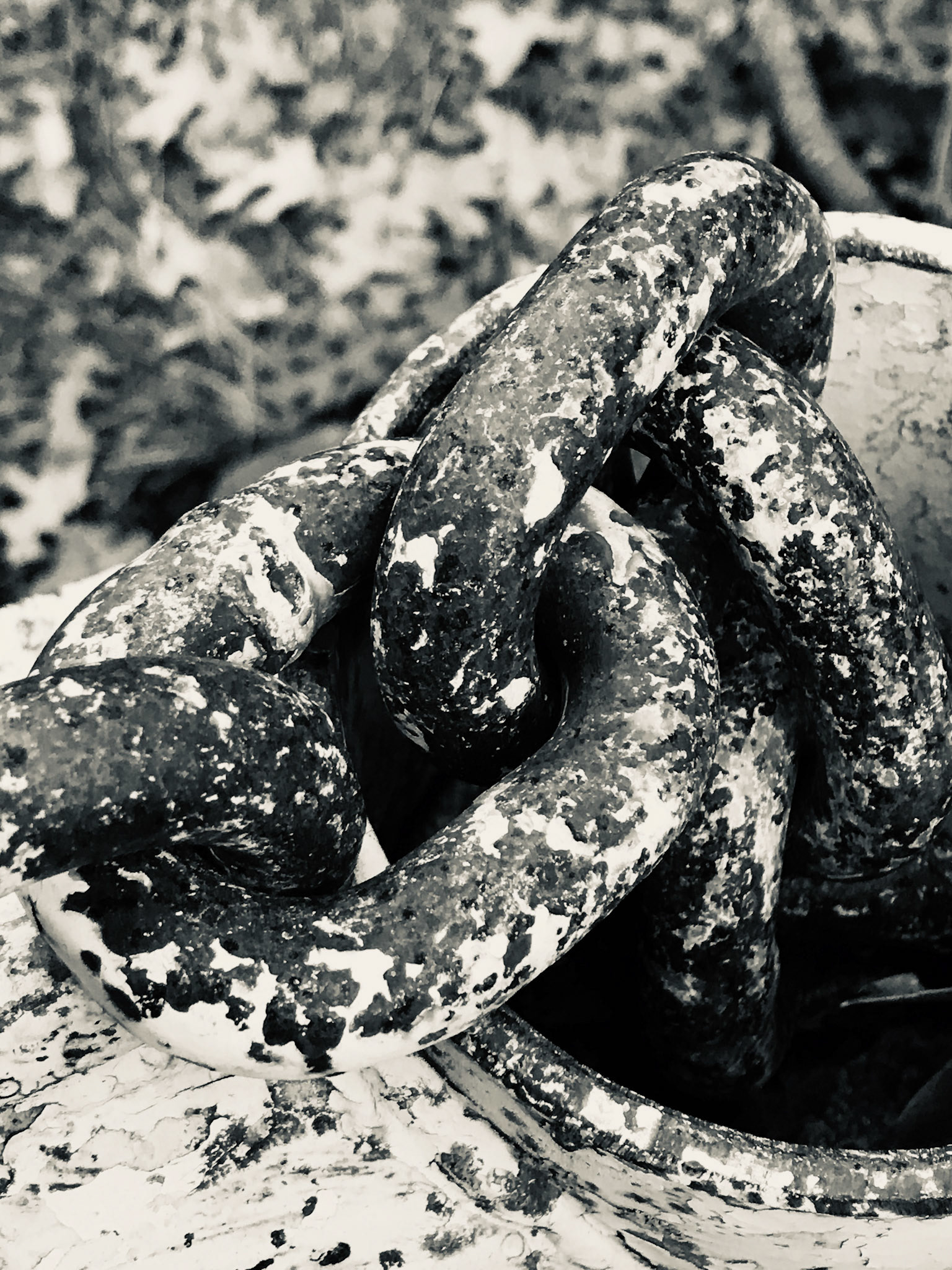 Rusted Chain Links