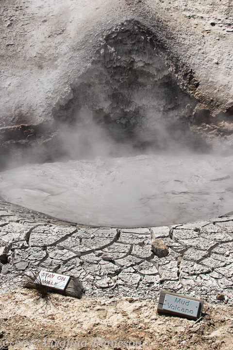 Mud Volcano, spewing mist and mud at Yellowstone NP; UA-92916515-1