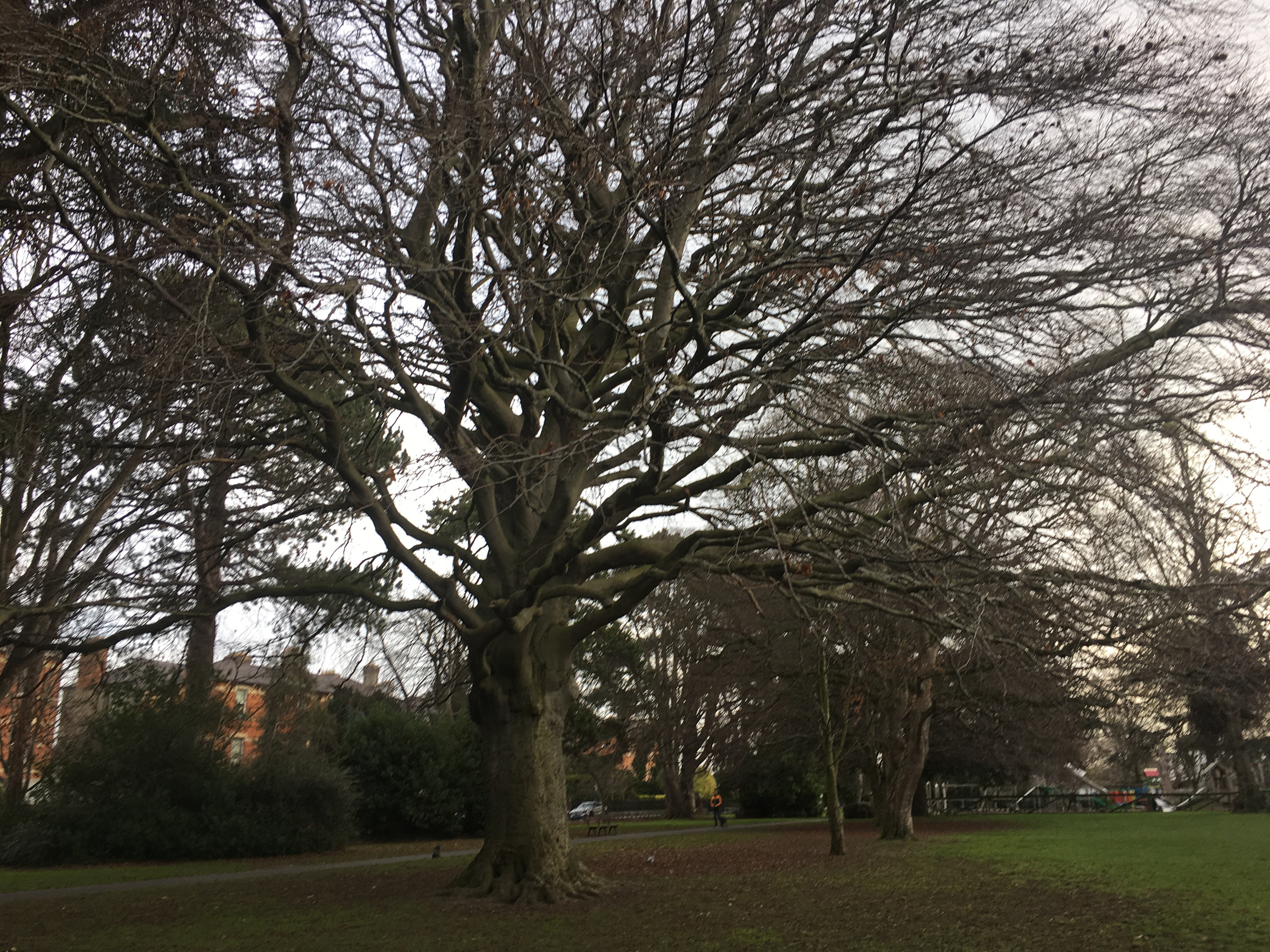 Dublin, Ireland - EC