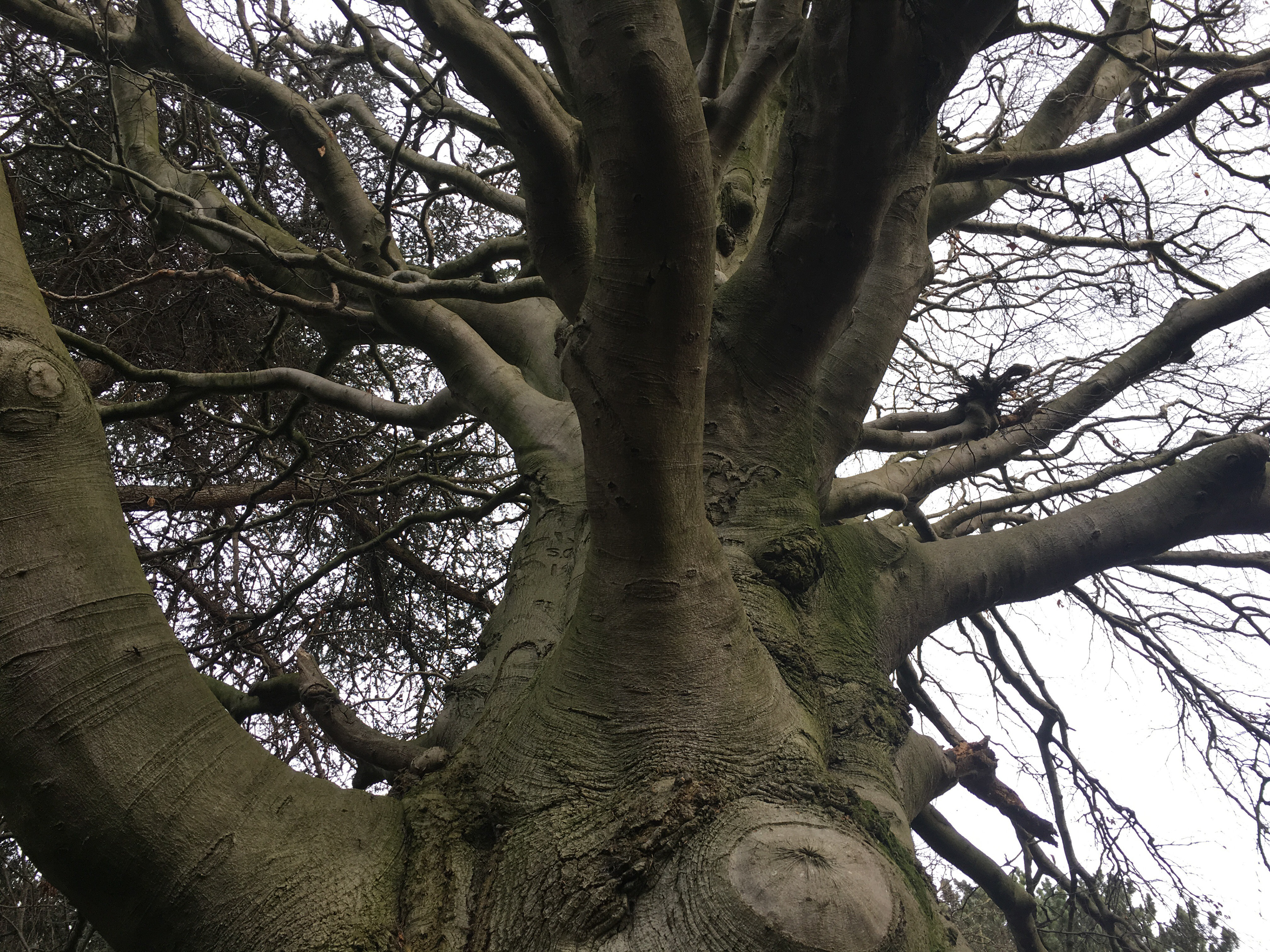 Dublin, Ireland - EC