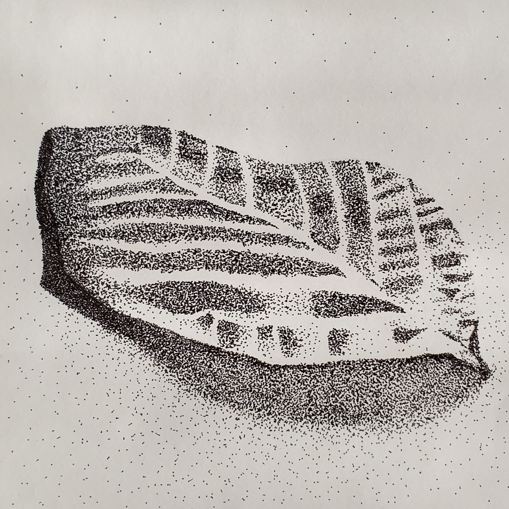 Ashley Buynak, Drawing & Illustration, Andrews Osborne Academy, Educator: Adriel Meyer, Grade 9,  Honorable Mention