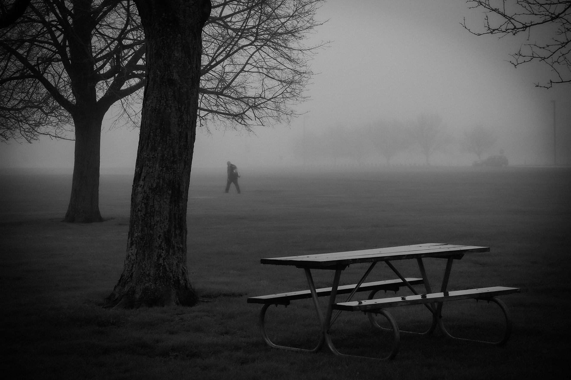 Anna Tokich, Bench, Photography, Notre Dame Cathedral Latin School, Educator: George Yaniga, Grade 12, Gold Key Award