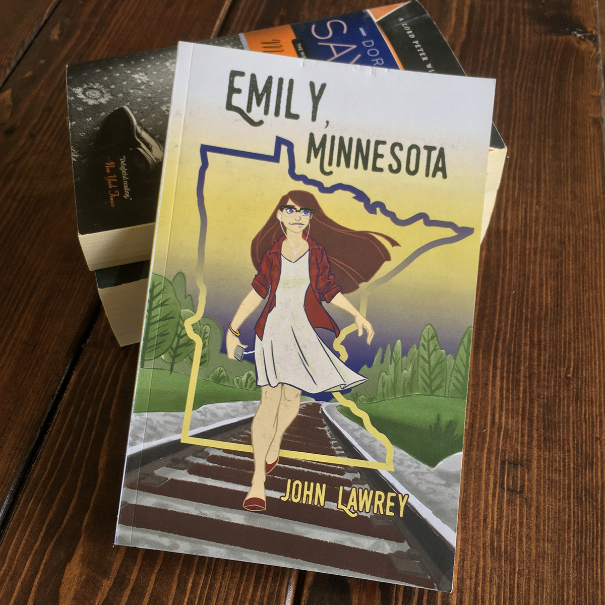 Brandon C. Wind Emily, Minnesota book cover design