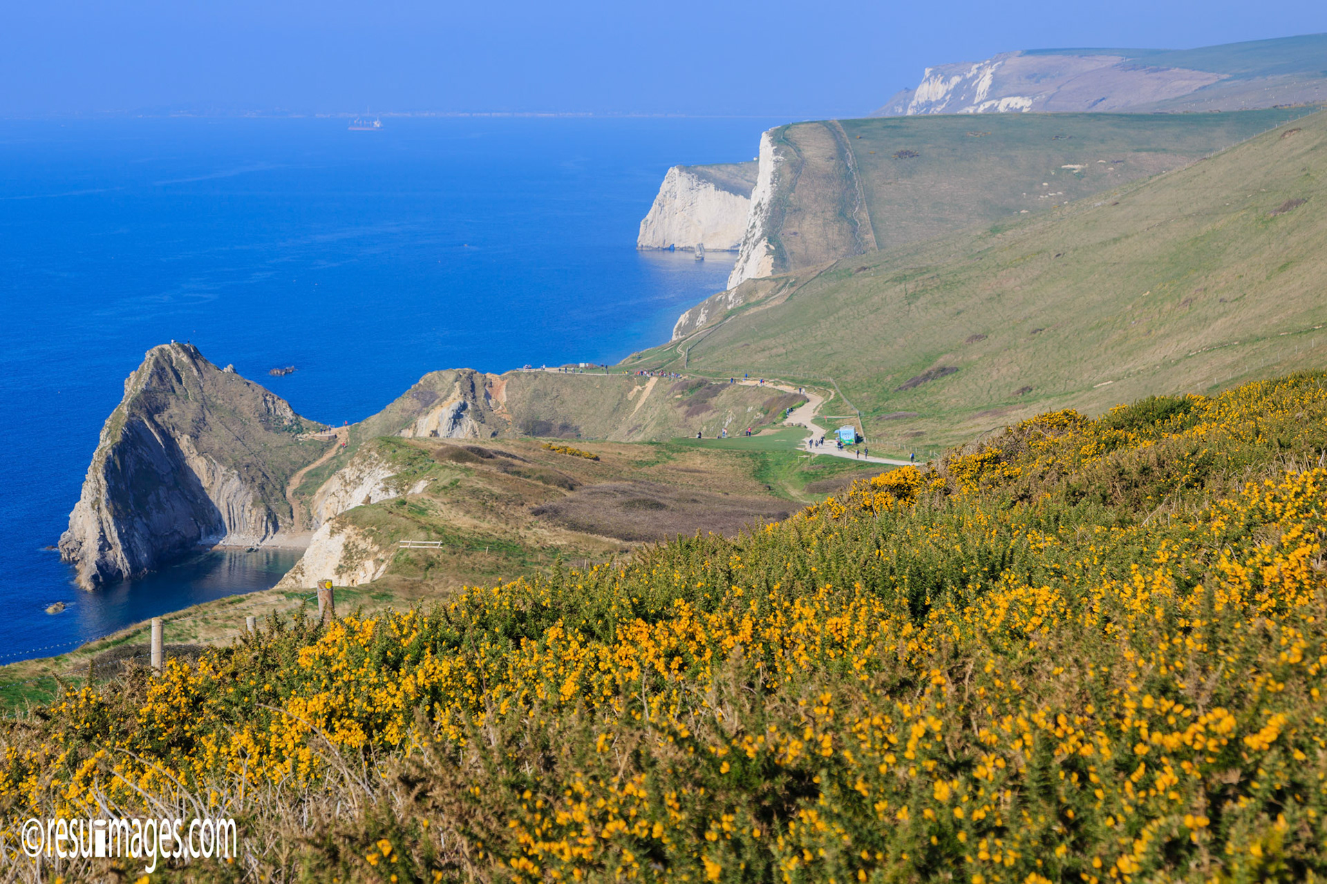 Dorset, England