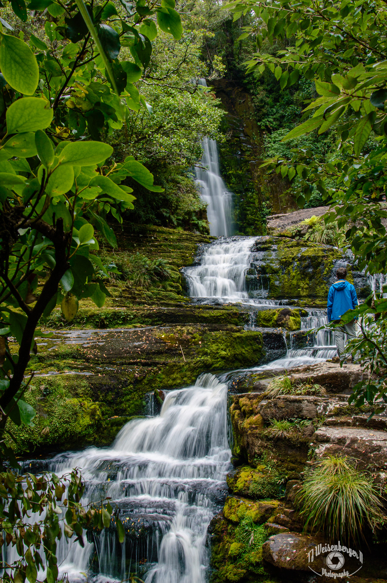 Lush Greenery at McLean Falls, The Catlins - South Island, New Zealand; Chaselands; Environment; Green; Landscape; Landscape - Scenery; McLean Falls; Mountains; New Zealand; Otago region; People; Photography; Planet Earth; South Island; The Catlins; Tourism; Travel Destinations; Waterfall; cascade; moss; nature; one person; outdoors; waterfalls; T.J.; TJ; Weiseberger