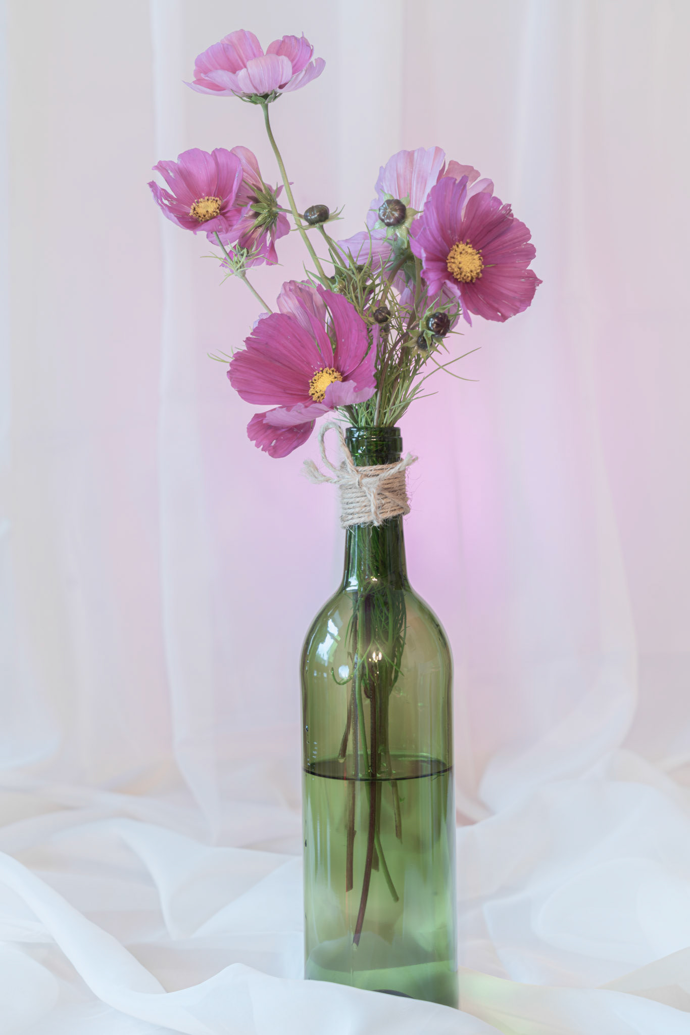 Cosmos Arrangement