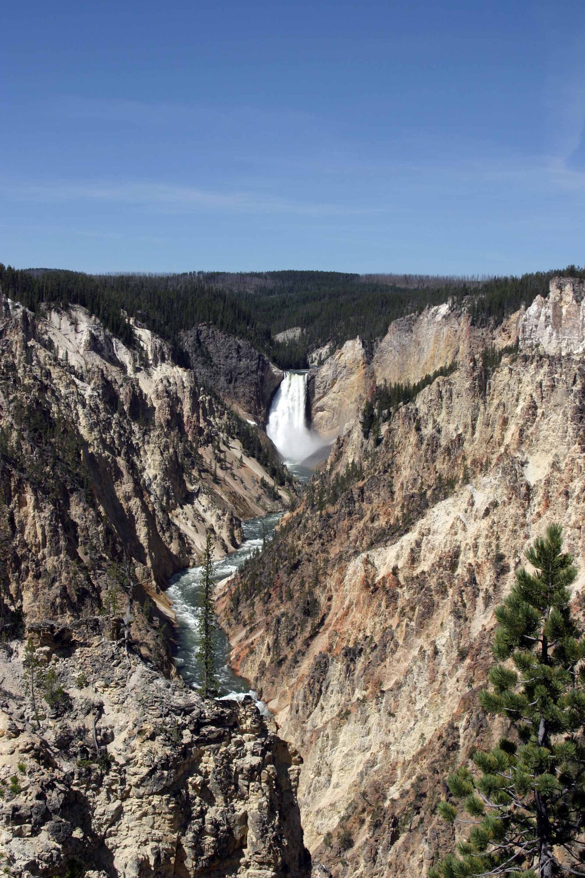 Yellowstone