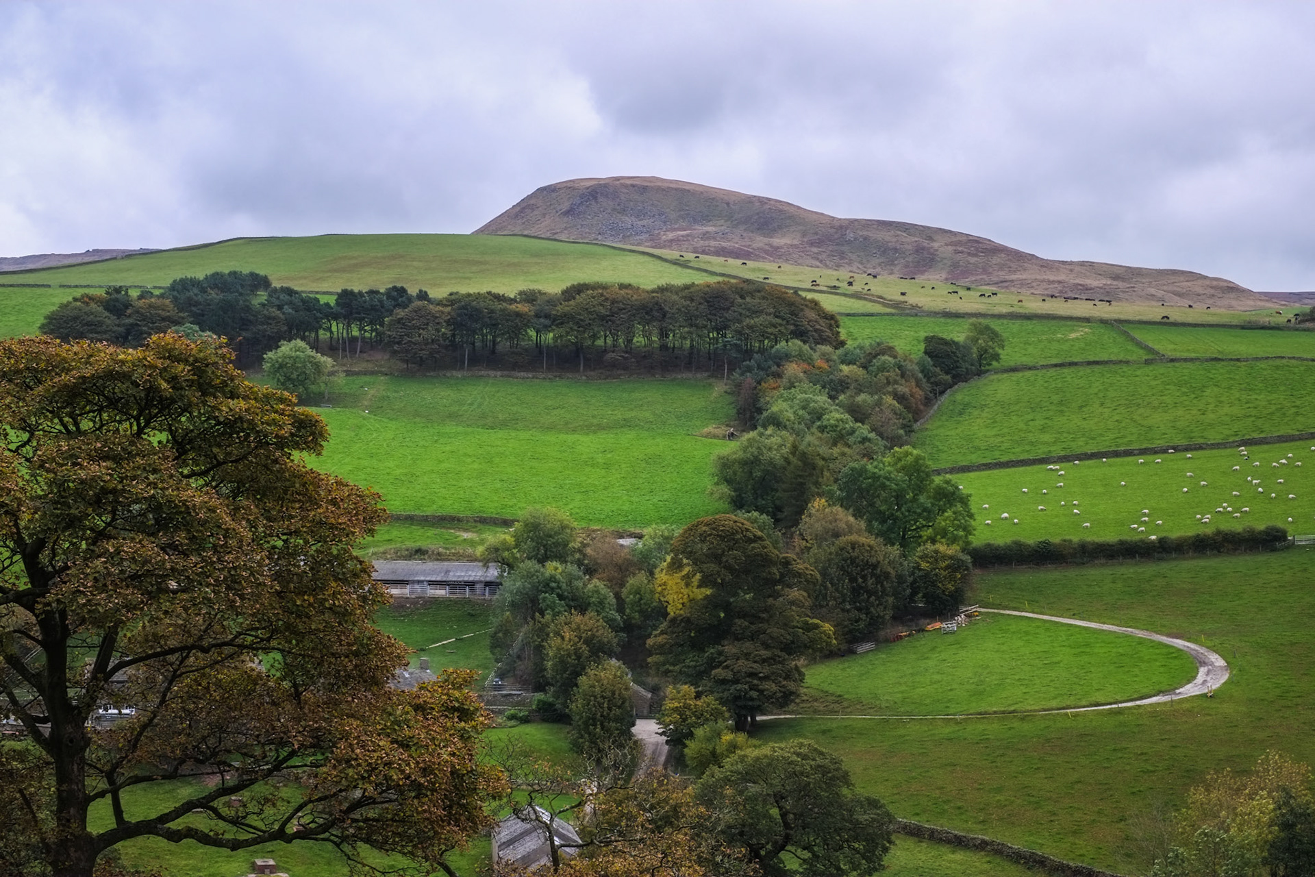 Kinderlow End