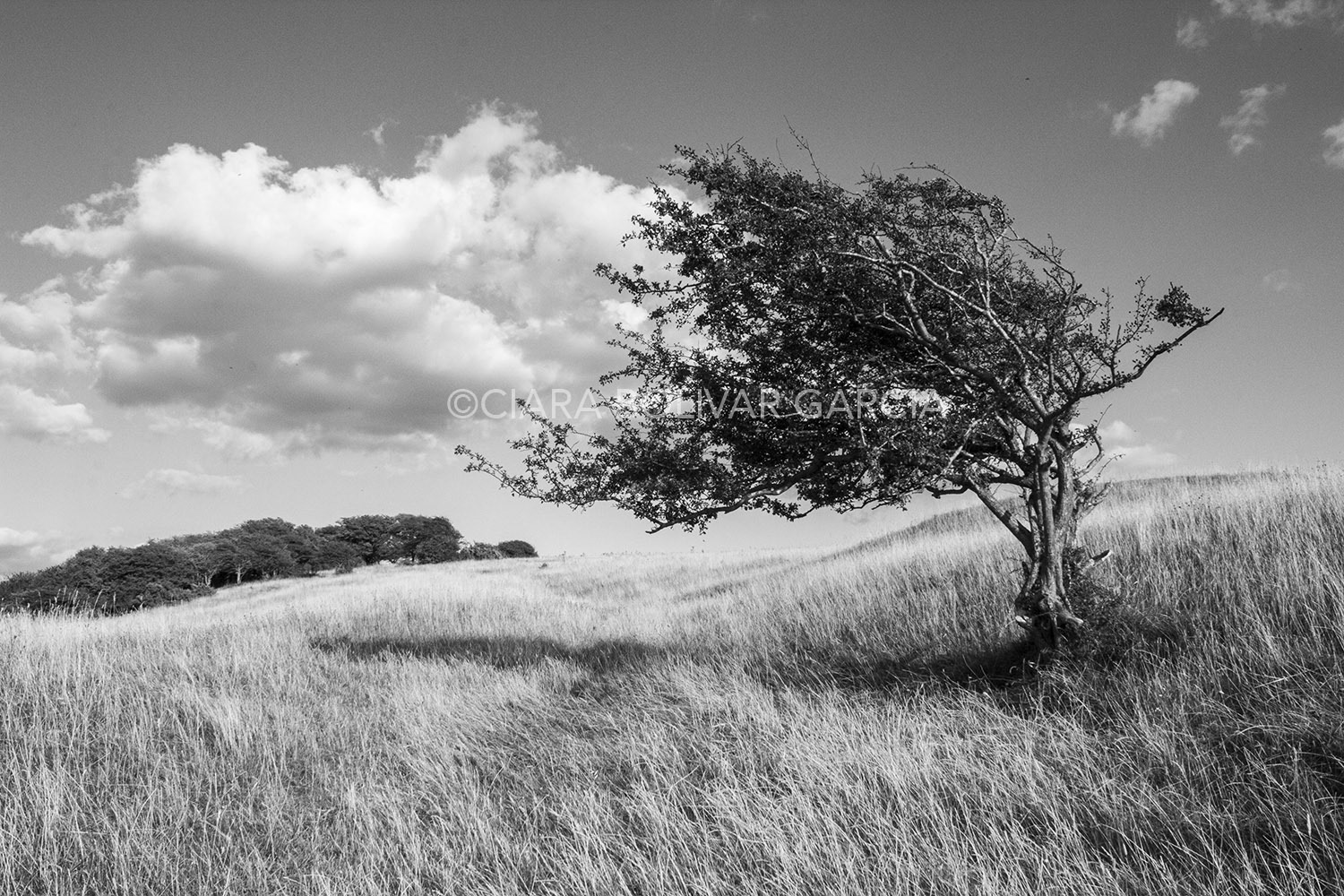 Stock Photography by Ciara Bolívar García. Content Producer based in London. 