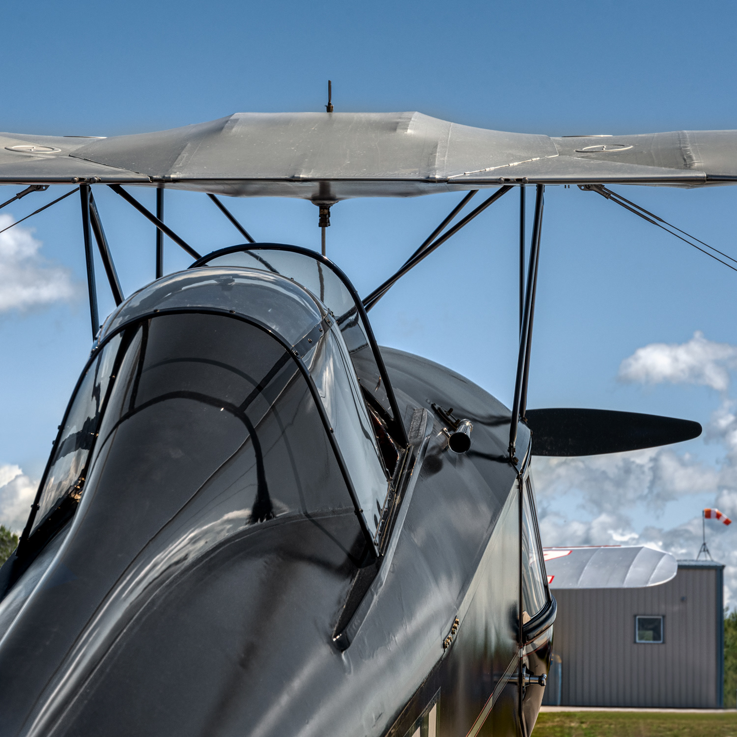 1932 Fox Moth © Irwin Seidman