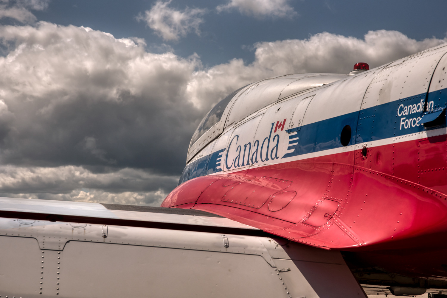Snowbird © Irwin Seidman