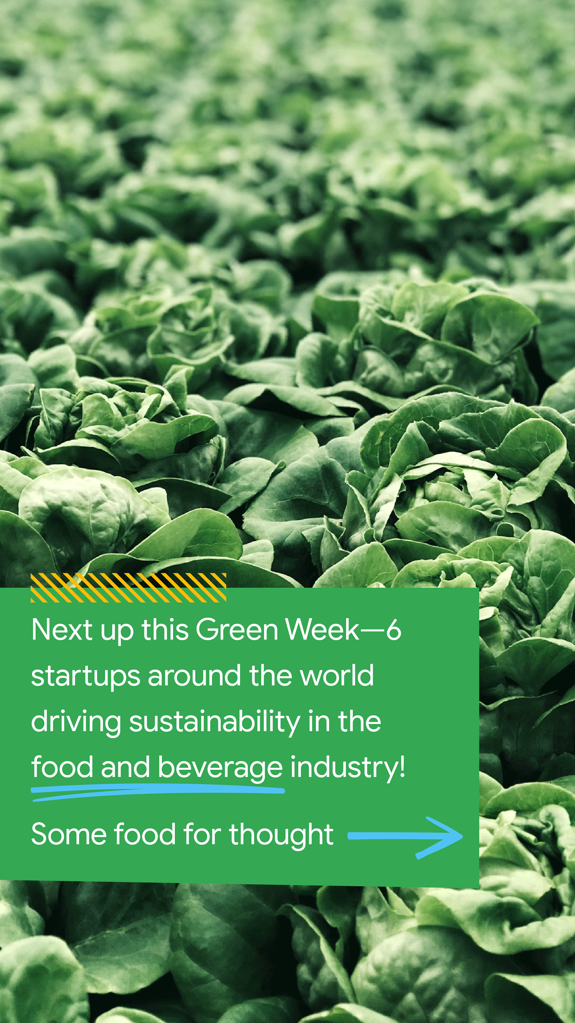 Green Week IG Story F1