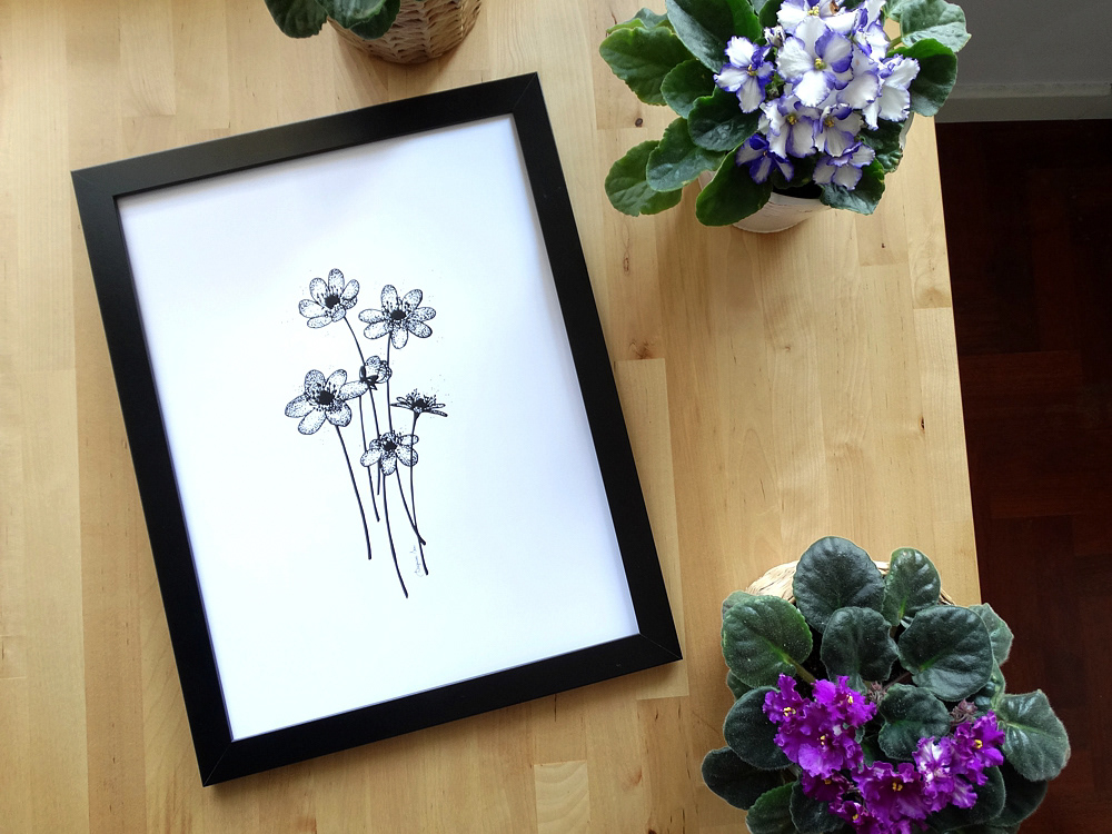 HEPATICA - poster