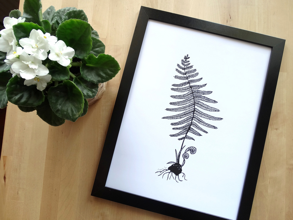 FERN - poster