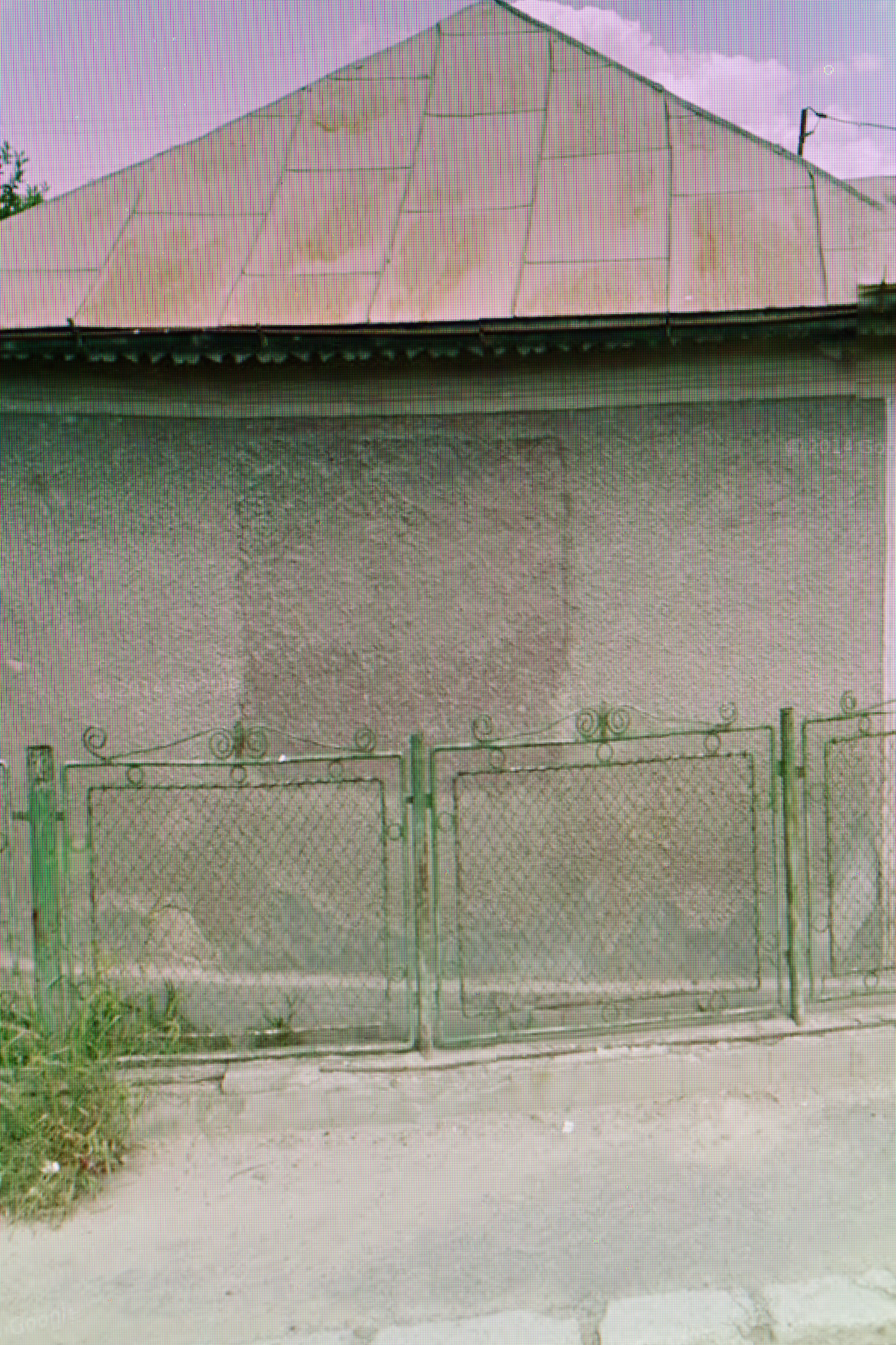 D55