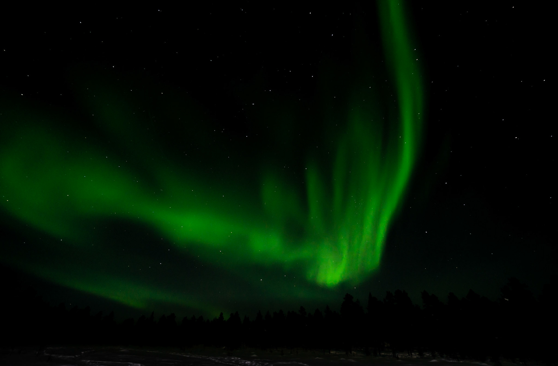 Finland | Northern Lights - Eagle Lights