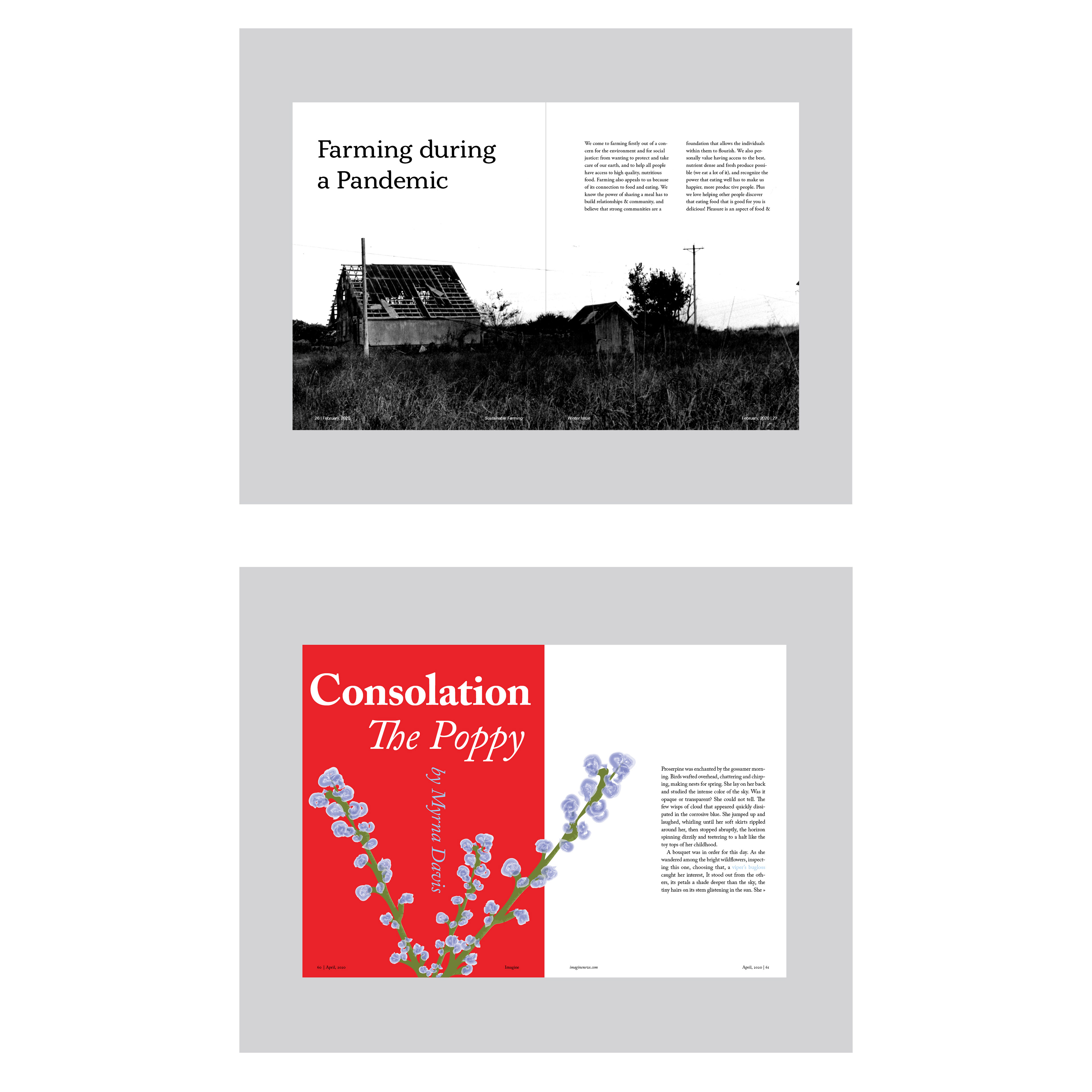 Magazine covers “Farming During a Pandemic” (top), “The Poppy” (bottom).