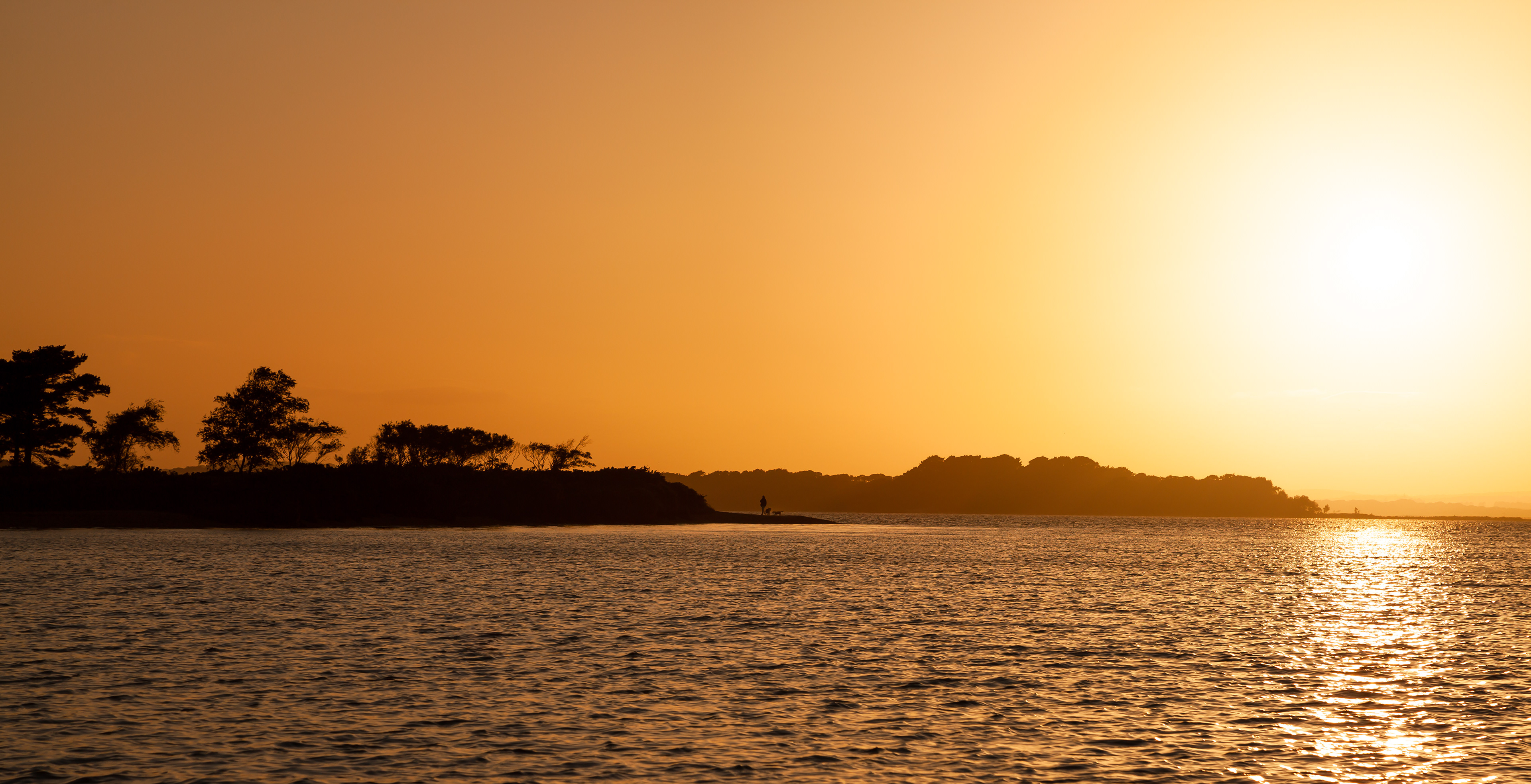 Studland Beach
