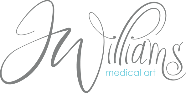 J. Williams Medical Art