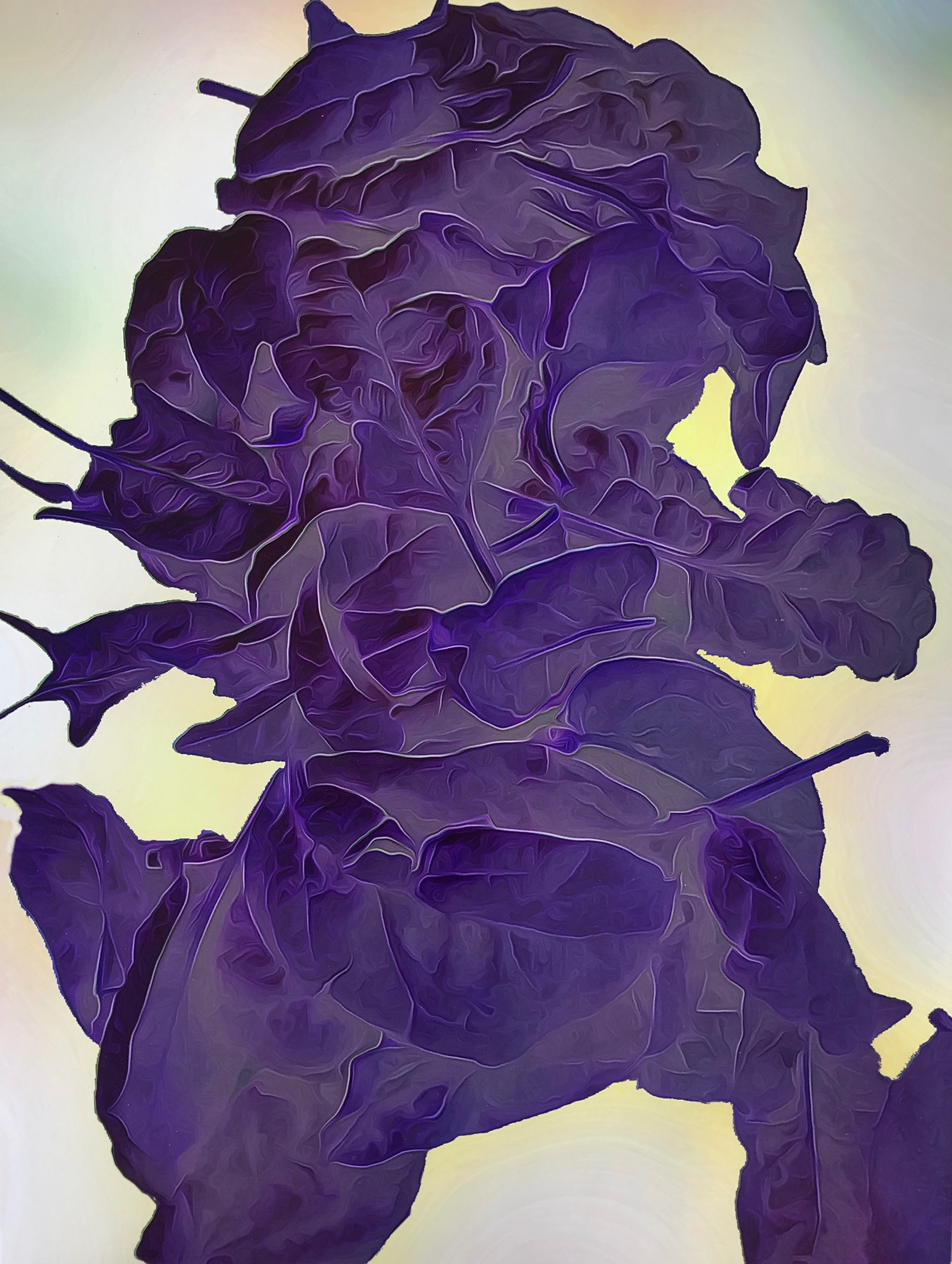 Sour Kabbage $500 (23" x 28")