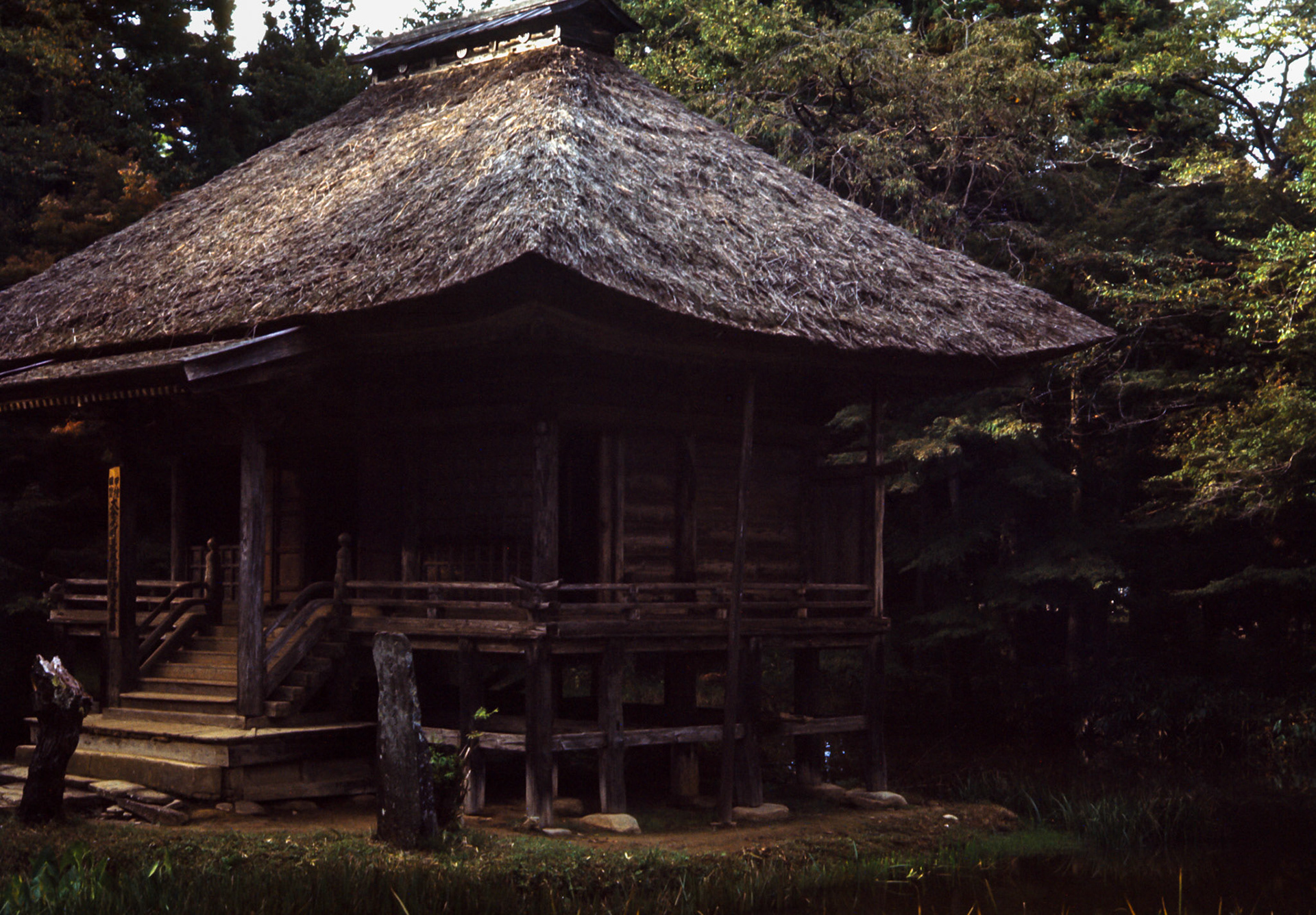 Thatched roof house - This is more likely a temple