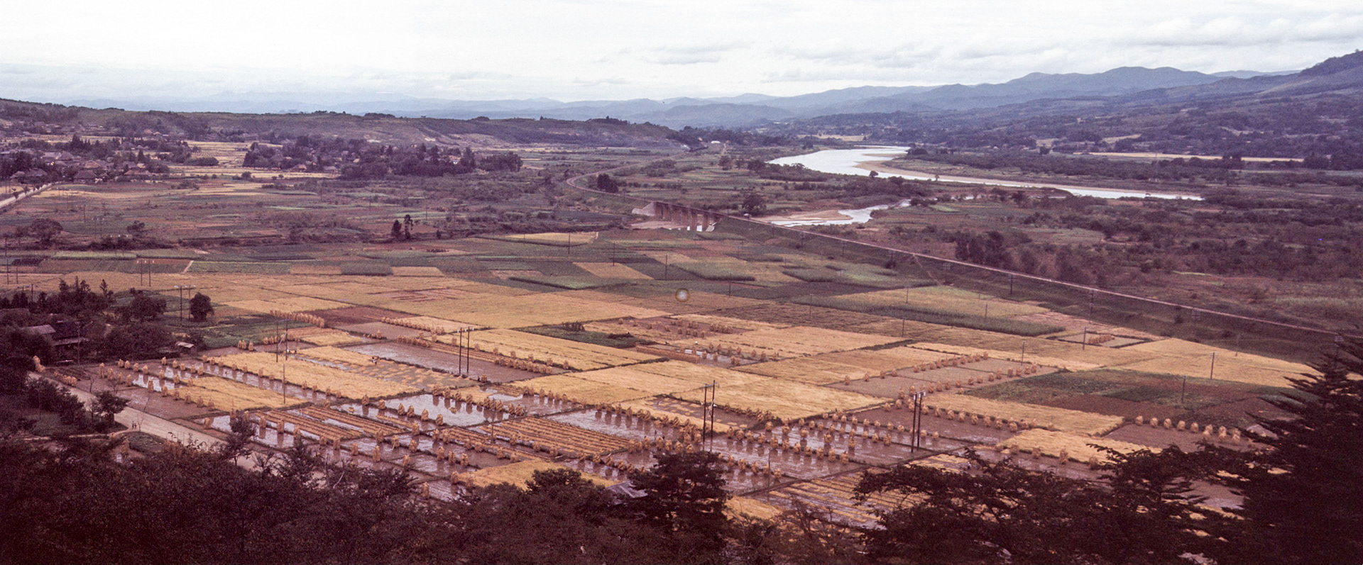 My grandfather took the previous two photos from the same spot just by moving the camera horizontally. This made it easy for me to stitch them into one picture.