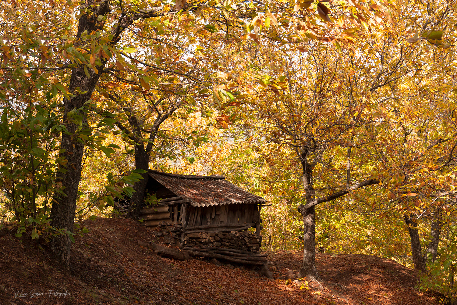 La casita del Castañar