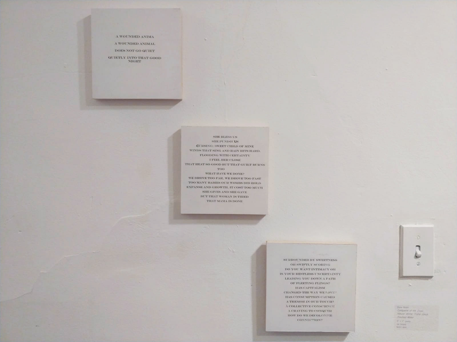 Rosa Booth - Conquest of the Natural World – Truths About Troubled Water