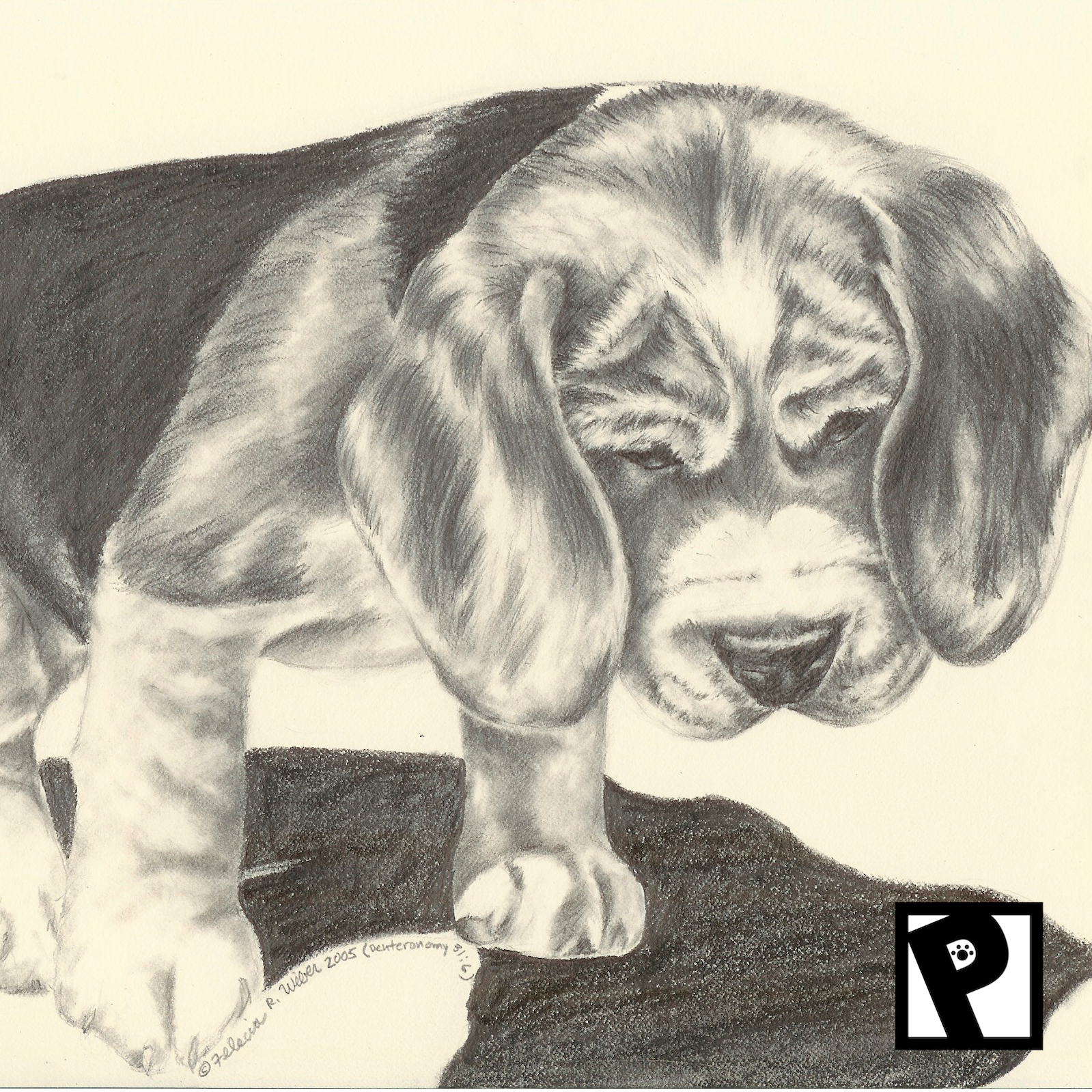 Pet Portraiture (Graphite Pencil)