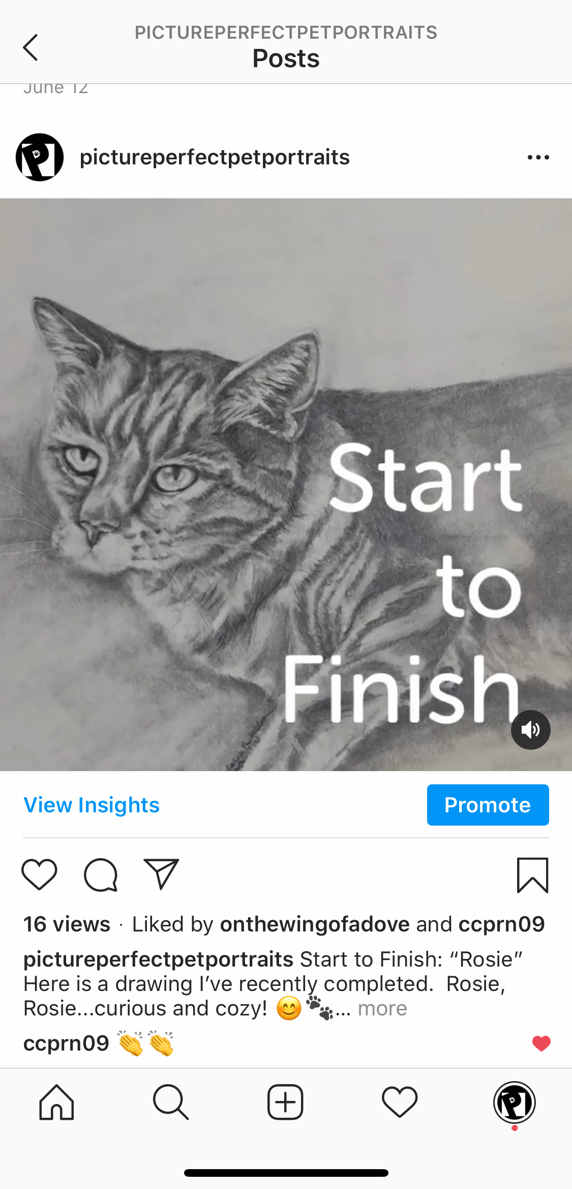 Picture Perfect Pet Portraits - Instagram