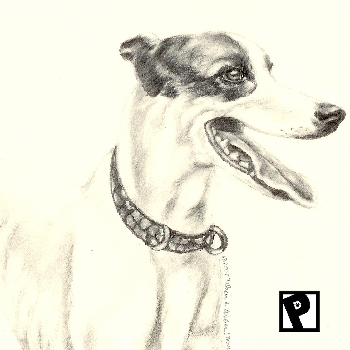 Pet Portraiture (Graphite Pencil)