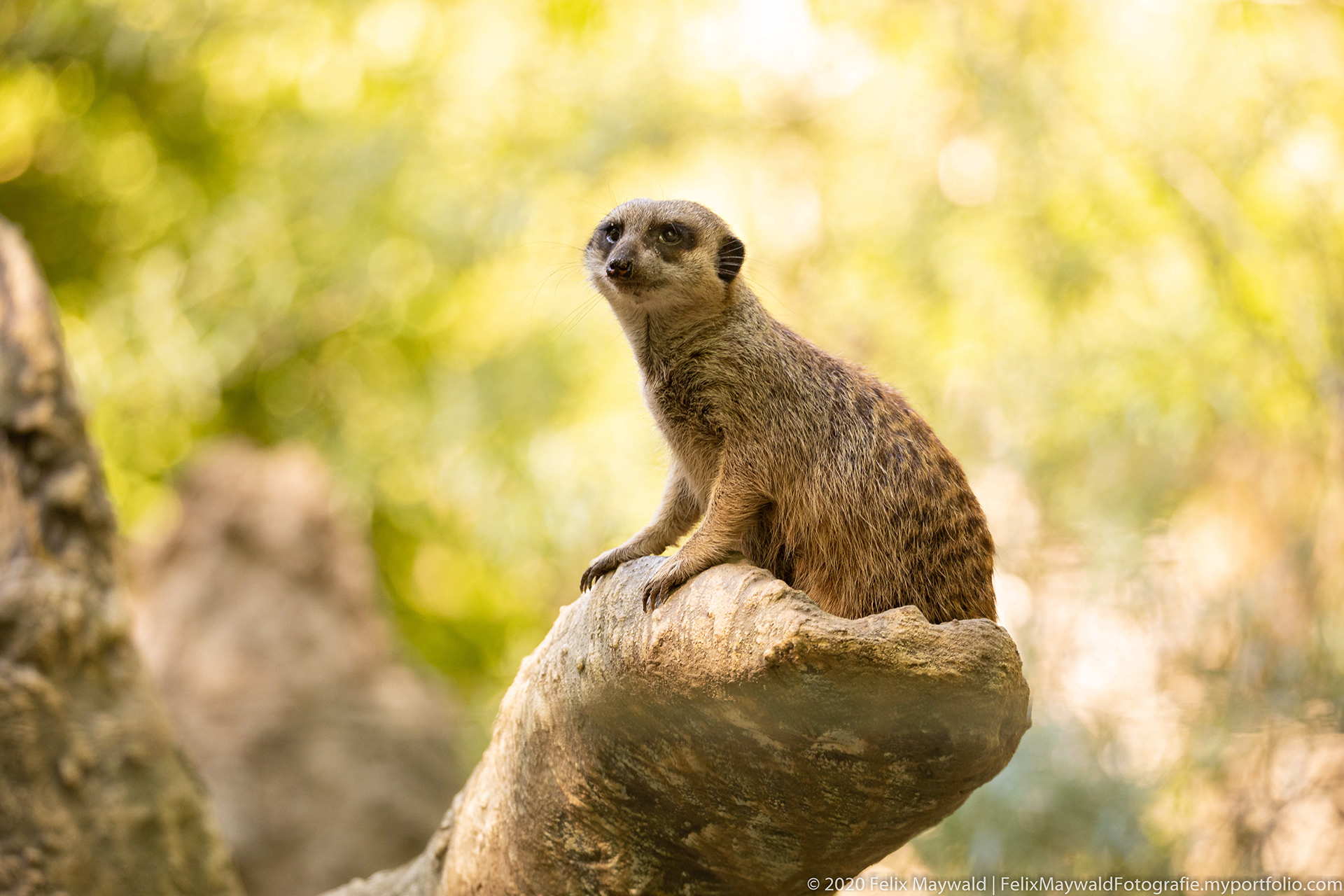 Felix Maywald Zoologischer Garten Eberswalde