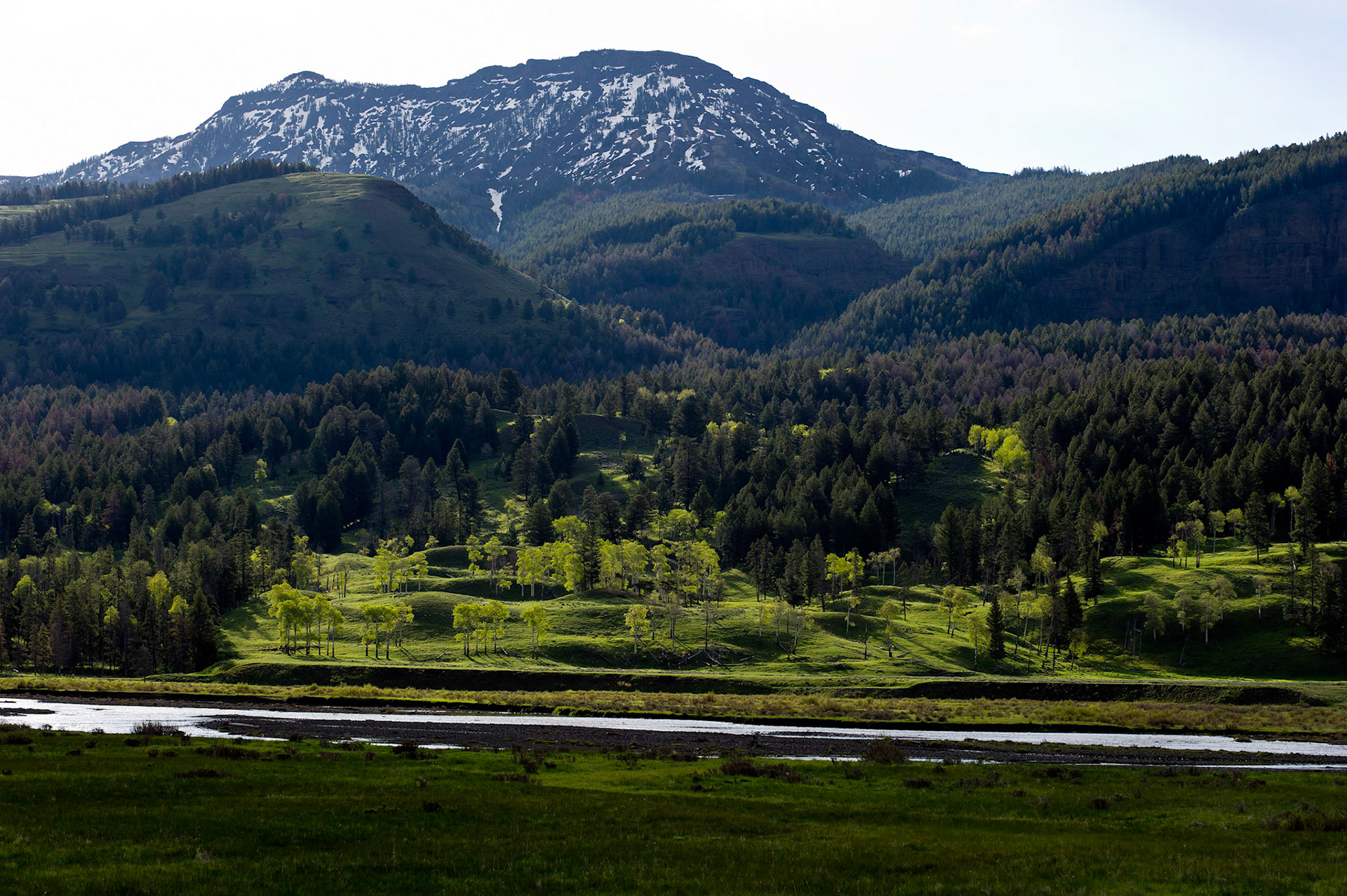 Lamar Valley - Yellowstone, Wyoming